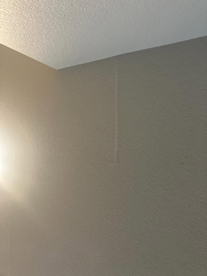  for Patch Pros LLC in Denver, CO