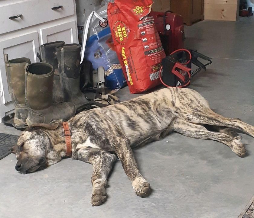  for Tennessee Plateau Services LLC in Sparta, TN