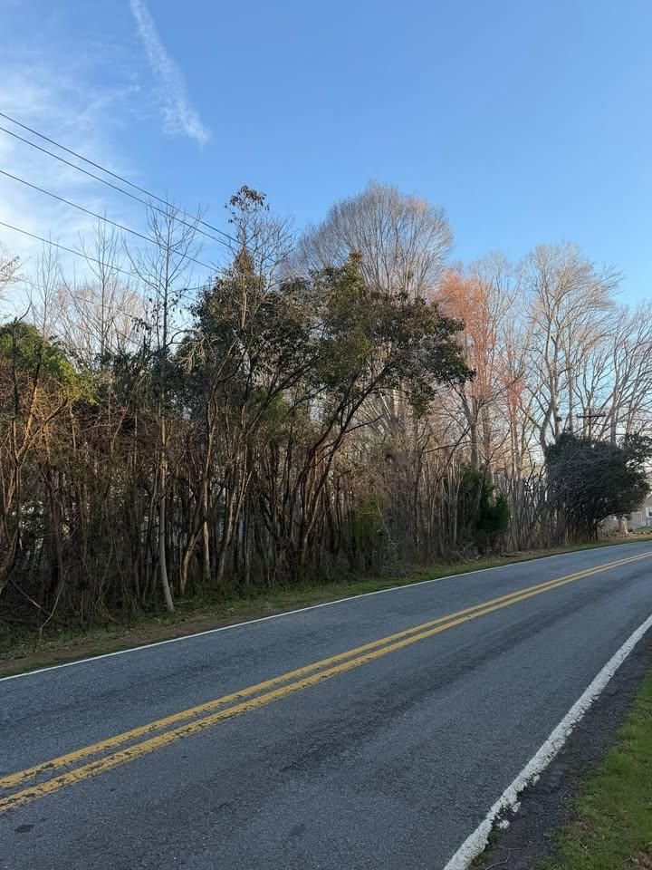  for Ramirez Tree Care in Elkin, NC