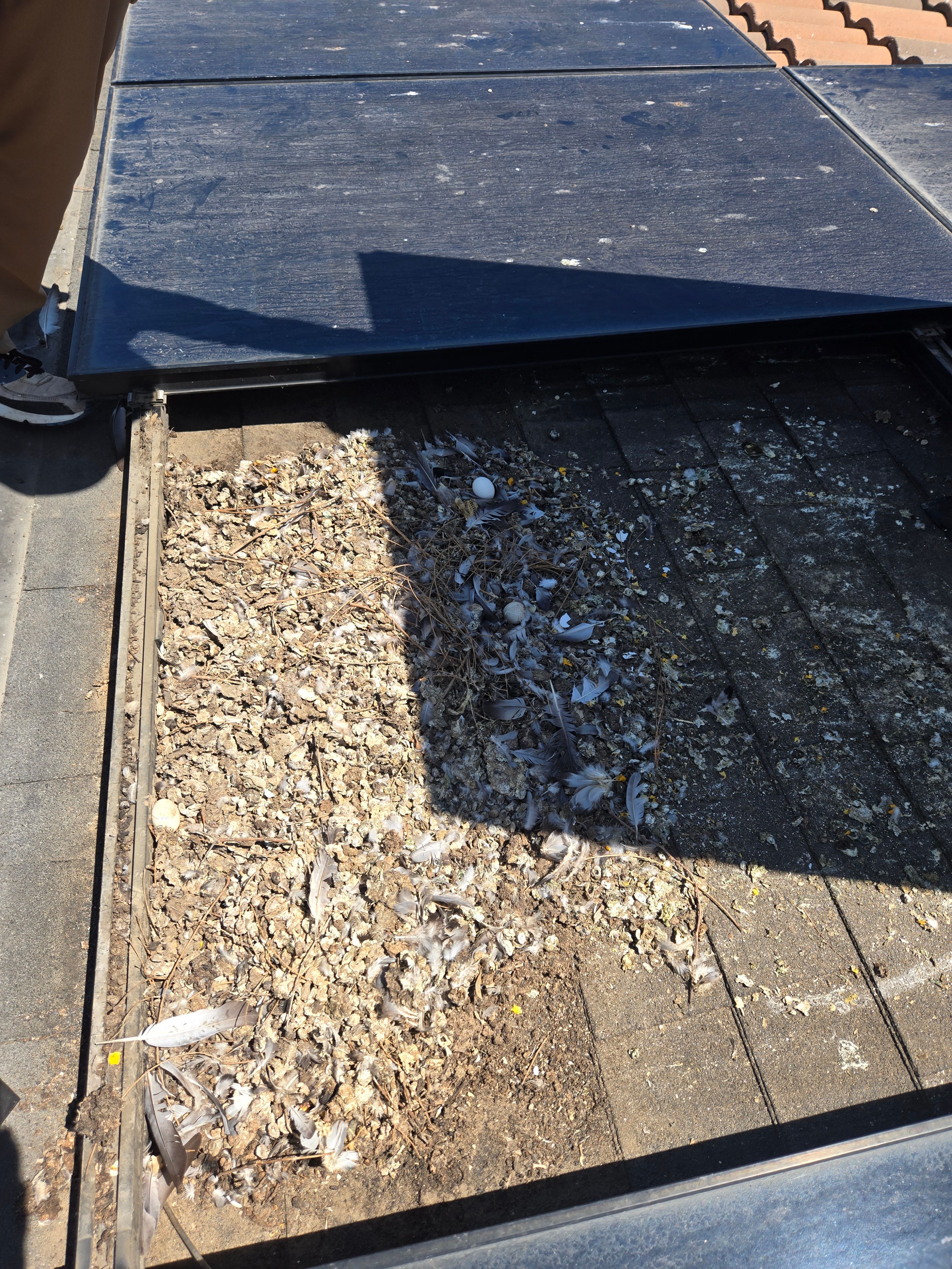  for The Window & Solar Ninjas in Riverside County, CA