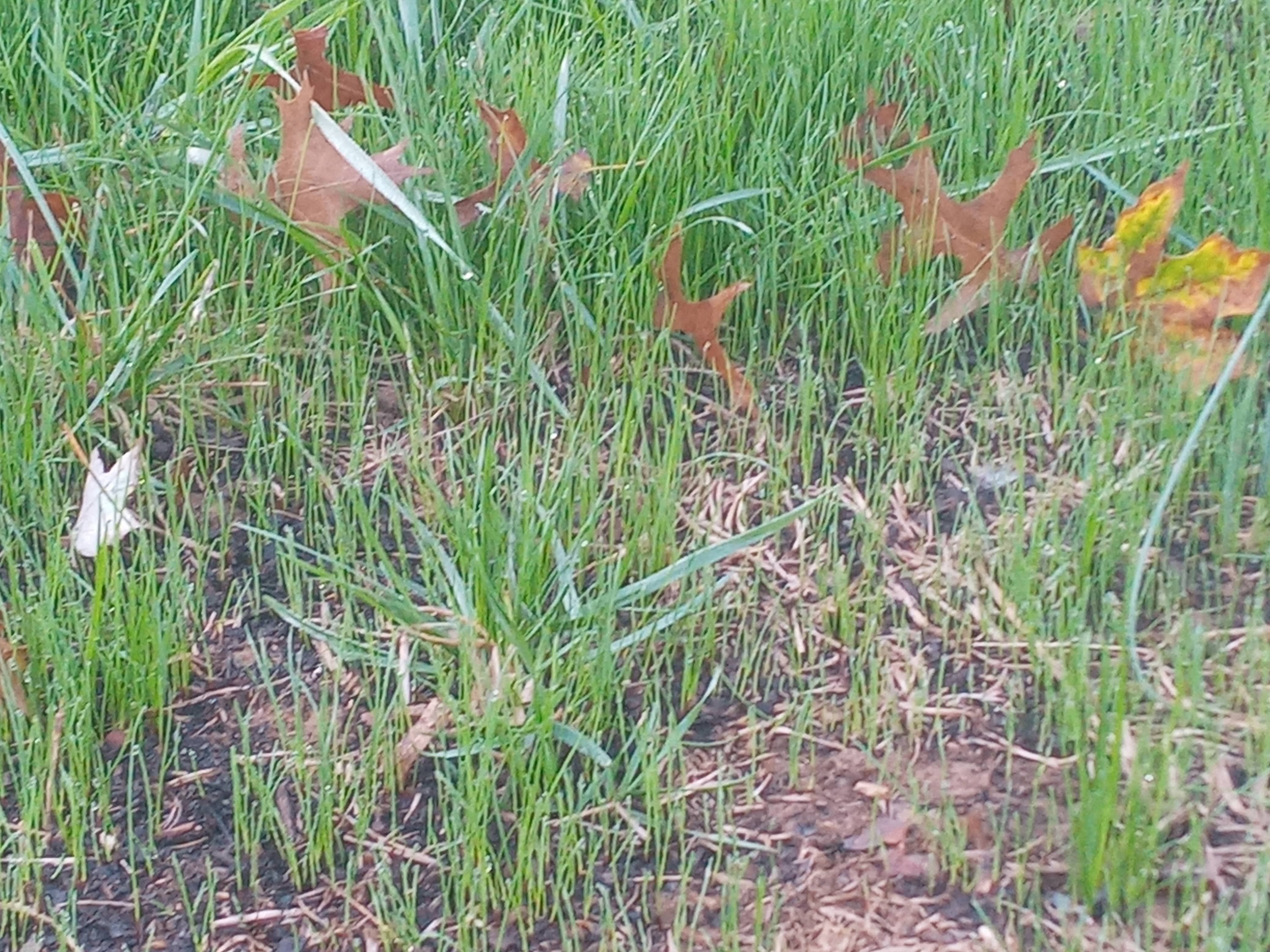  for Sam I AM Property Solutions in Sunderland, MD