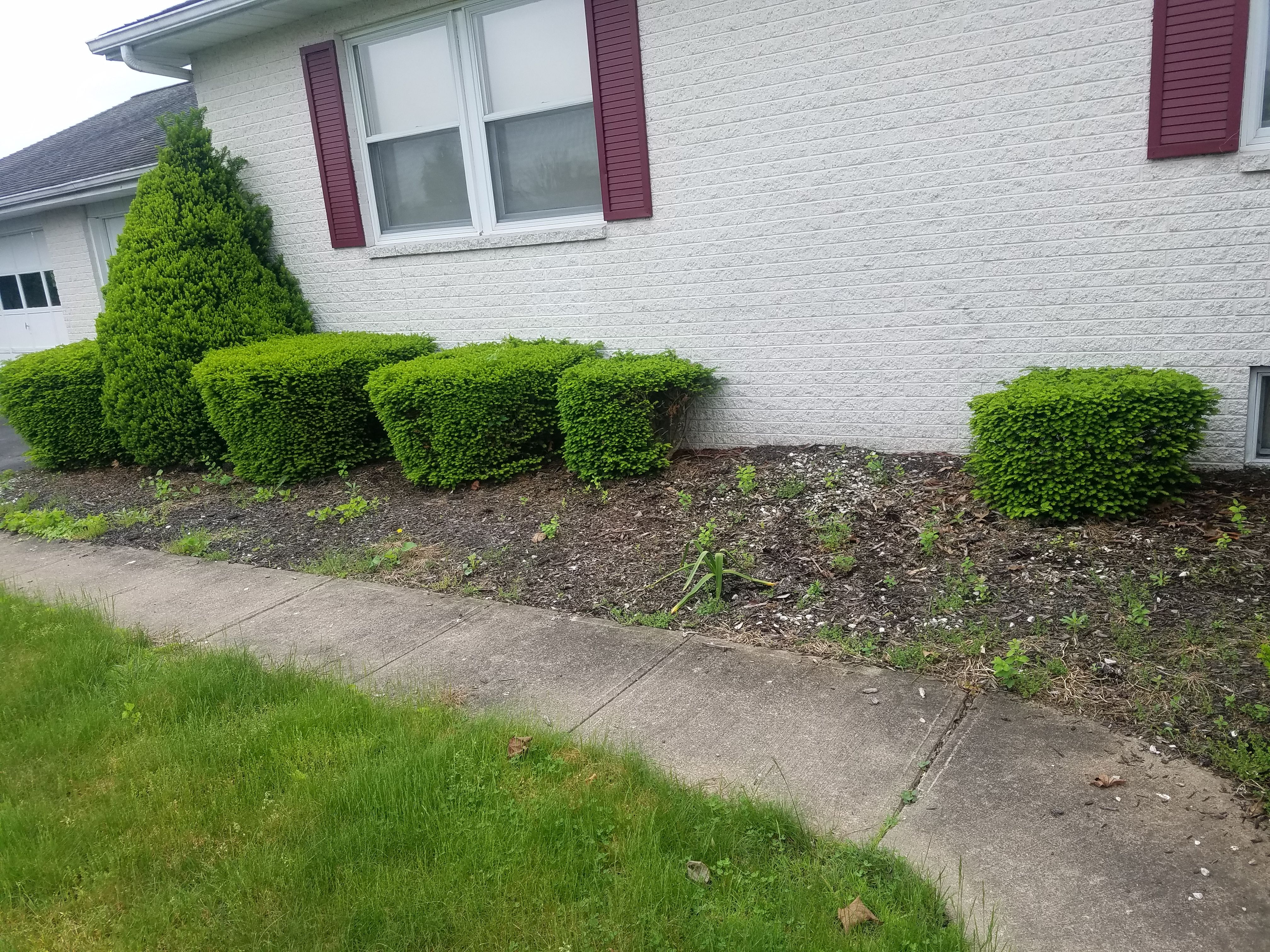  for Down Home Landscaping in Stillwater, PA