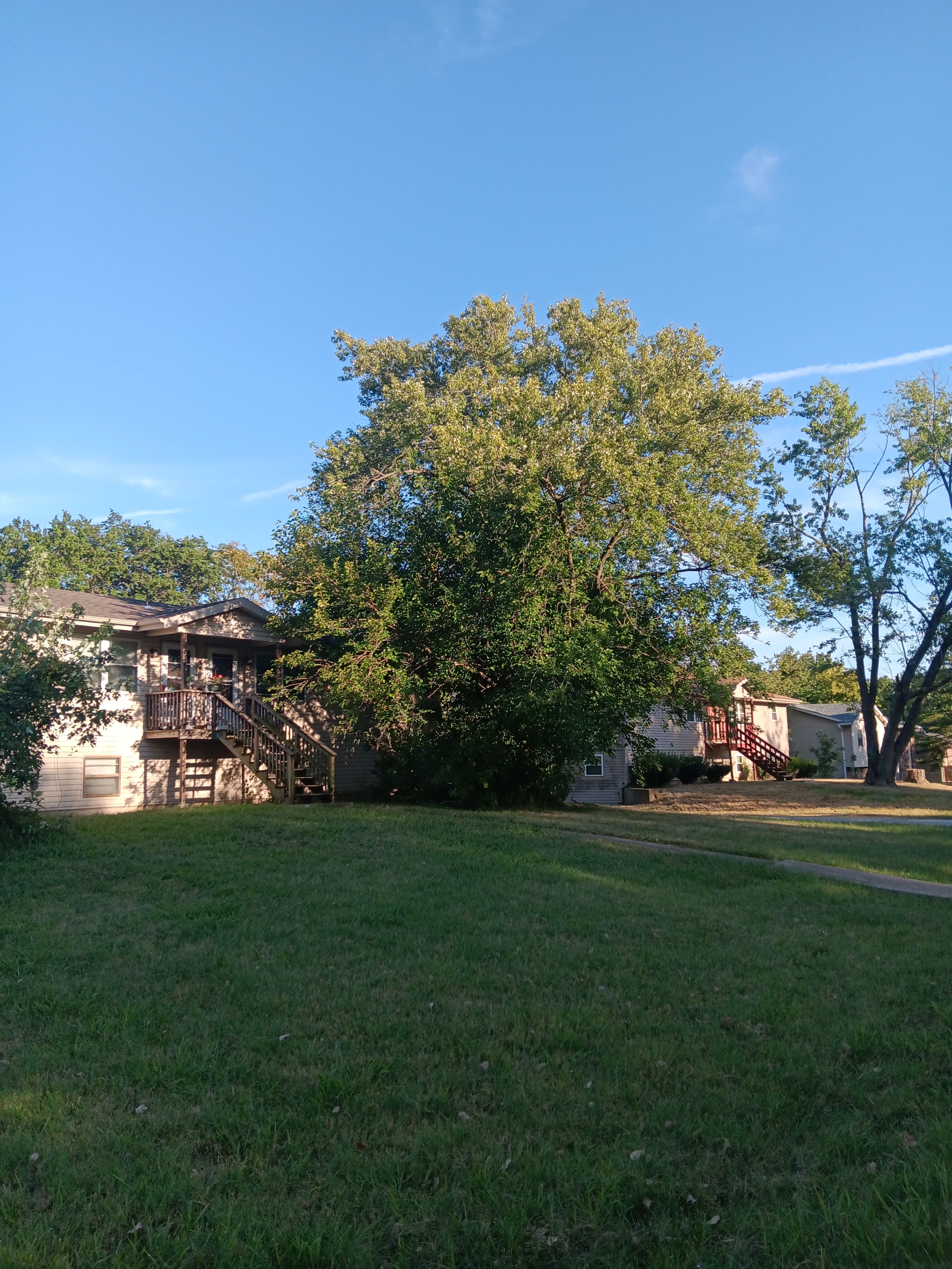  for Sky High Tree Service in Columbia, MO