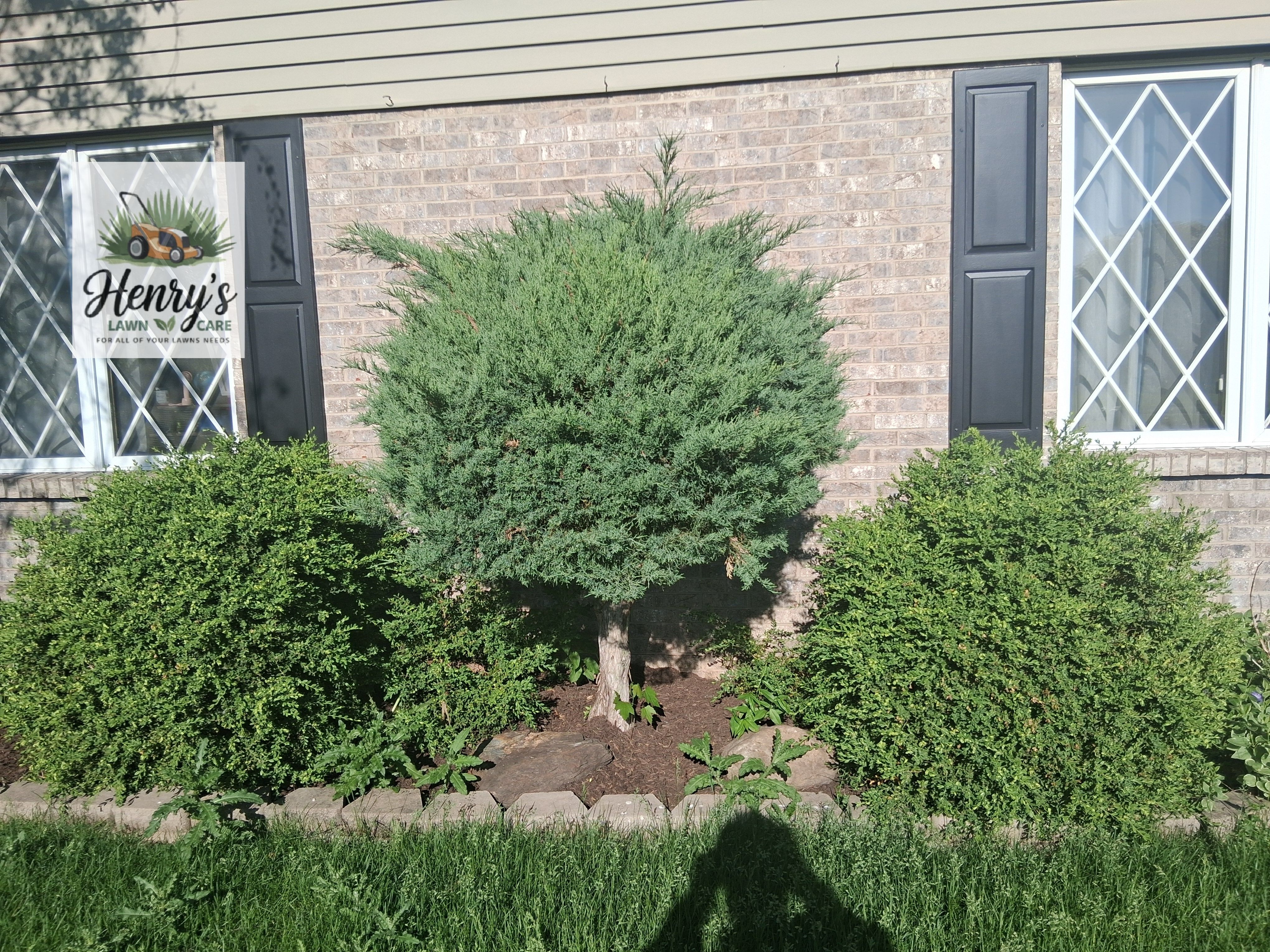  for Henry's Lawn Care in Rockford, IL