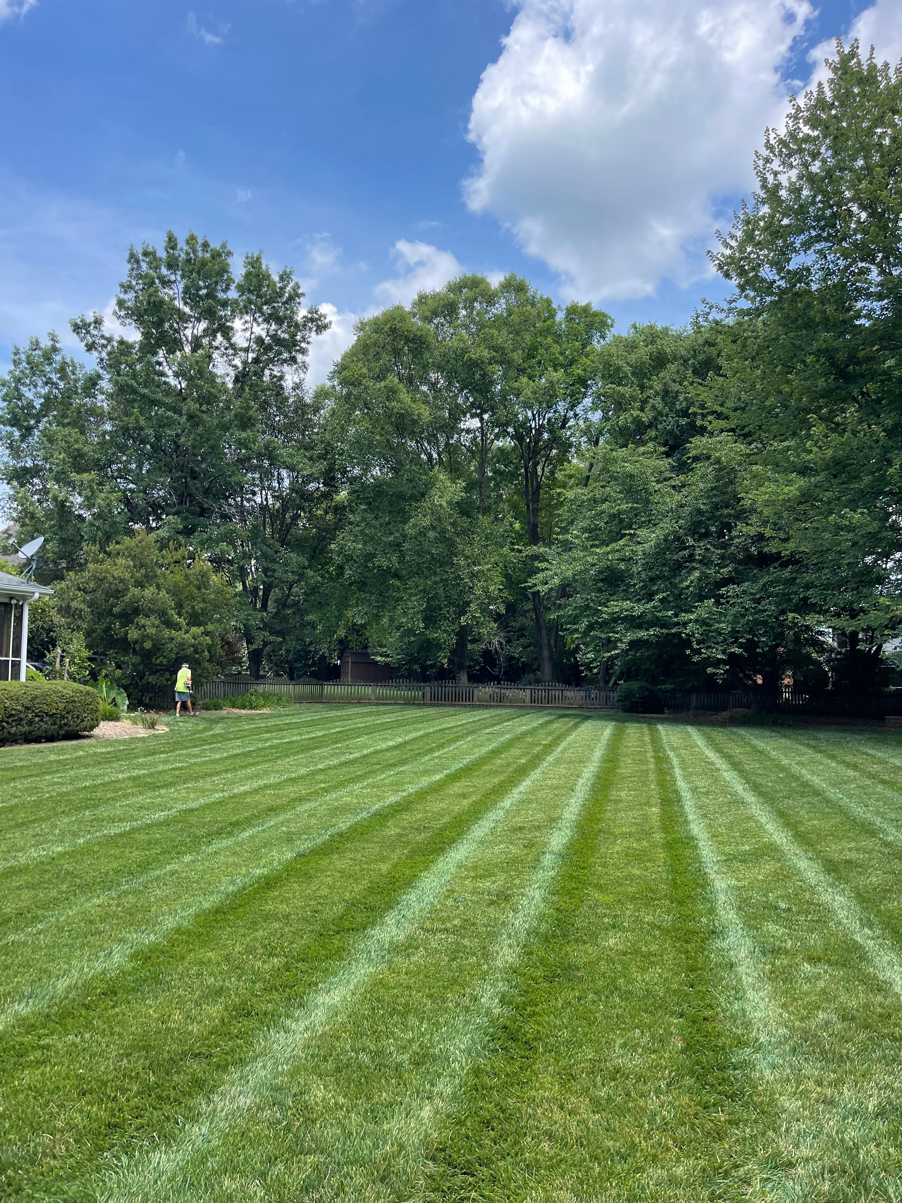 Lawn Transformations for Sunrise Lawn Care & Weed Control LLC in Simpsonville, SC
