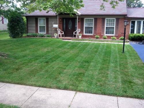  for Lawn Rescue in Texarkana, TX