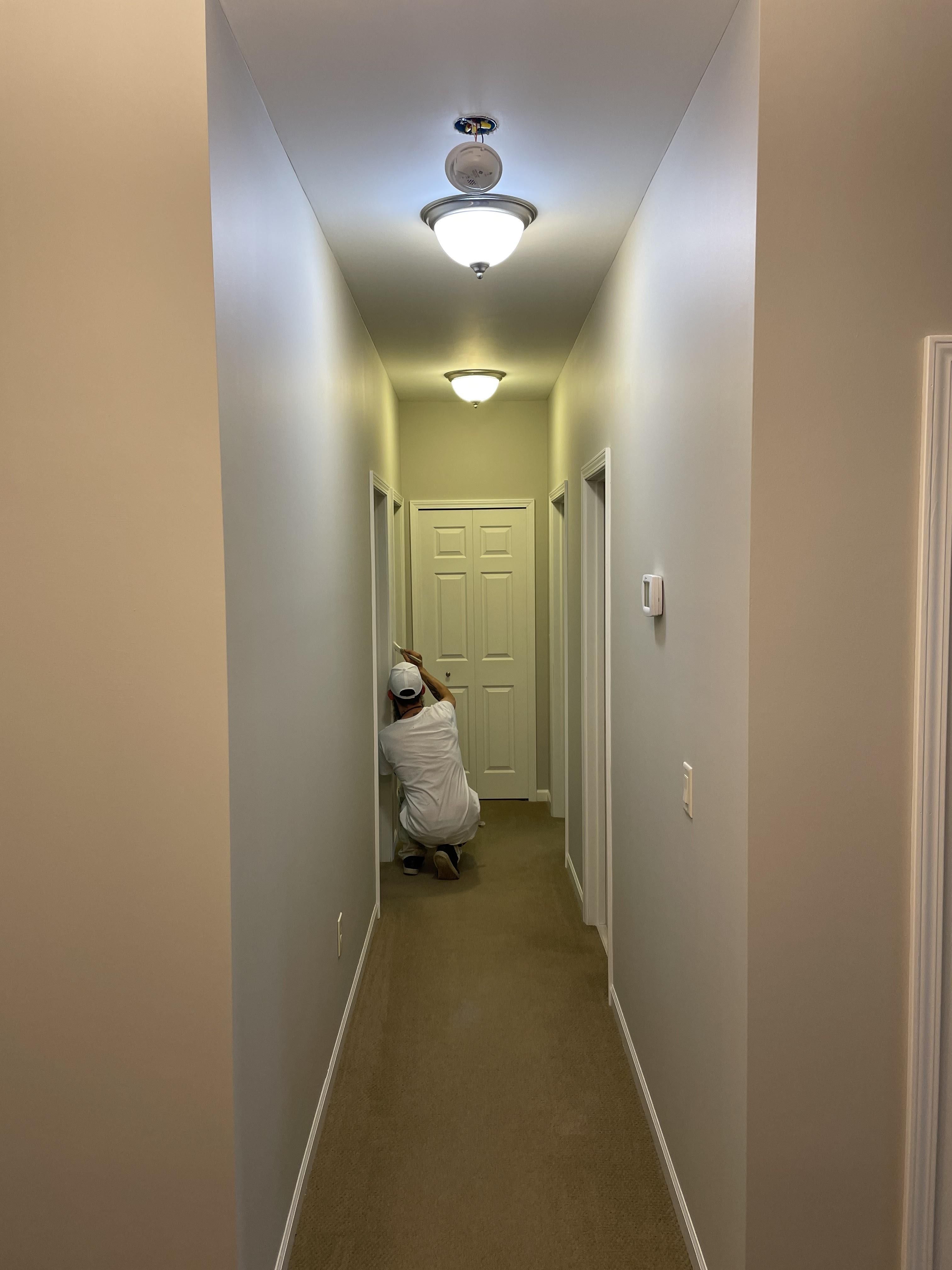  for Apex Painting in Livonia, MI