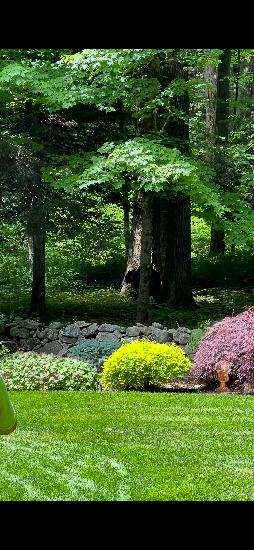  for Stevenson Property Maintenance in Cheshire, CT