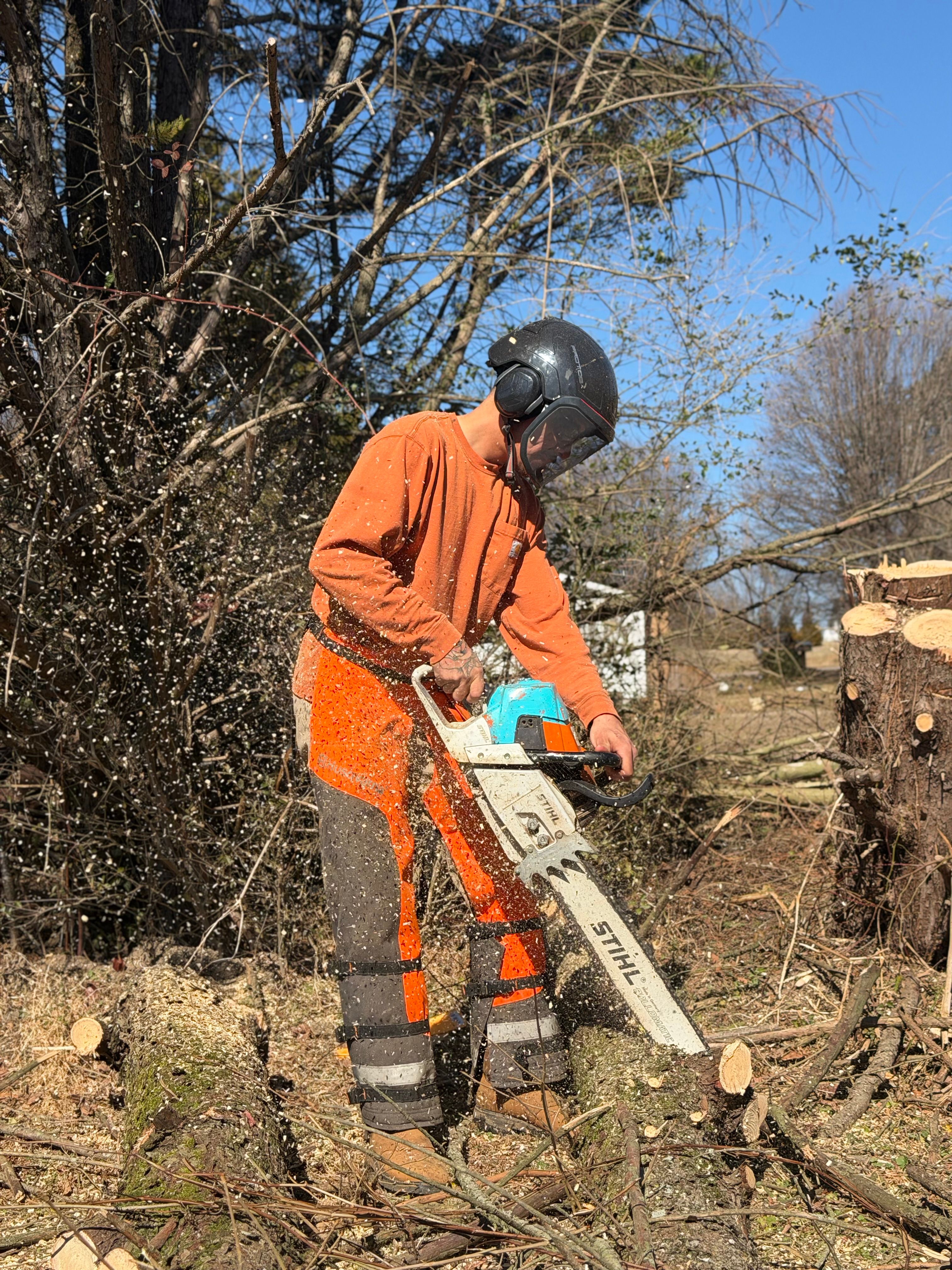 All Photos for Ramirez Tree Care in Elkin, NC