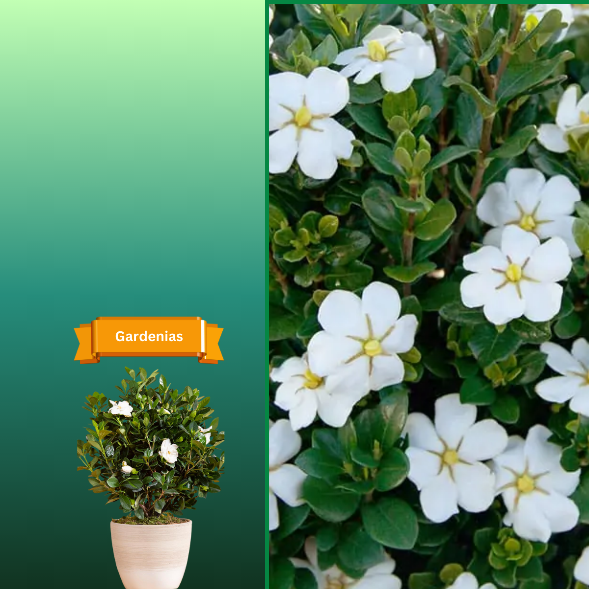  for R.B. & Company in Belleview, FL