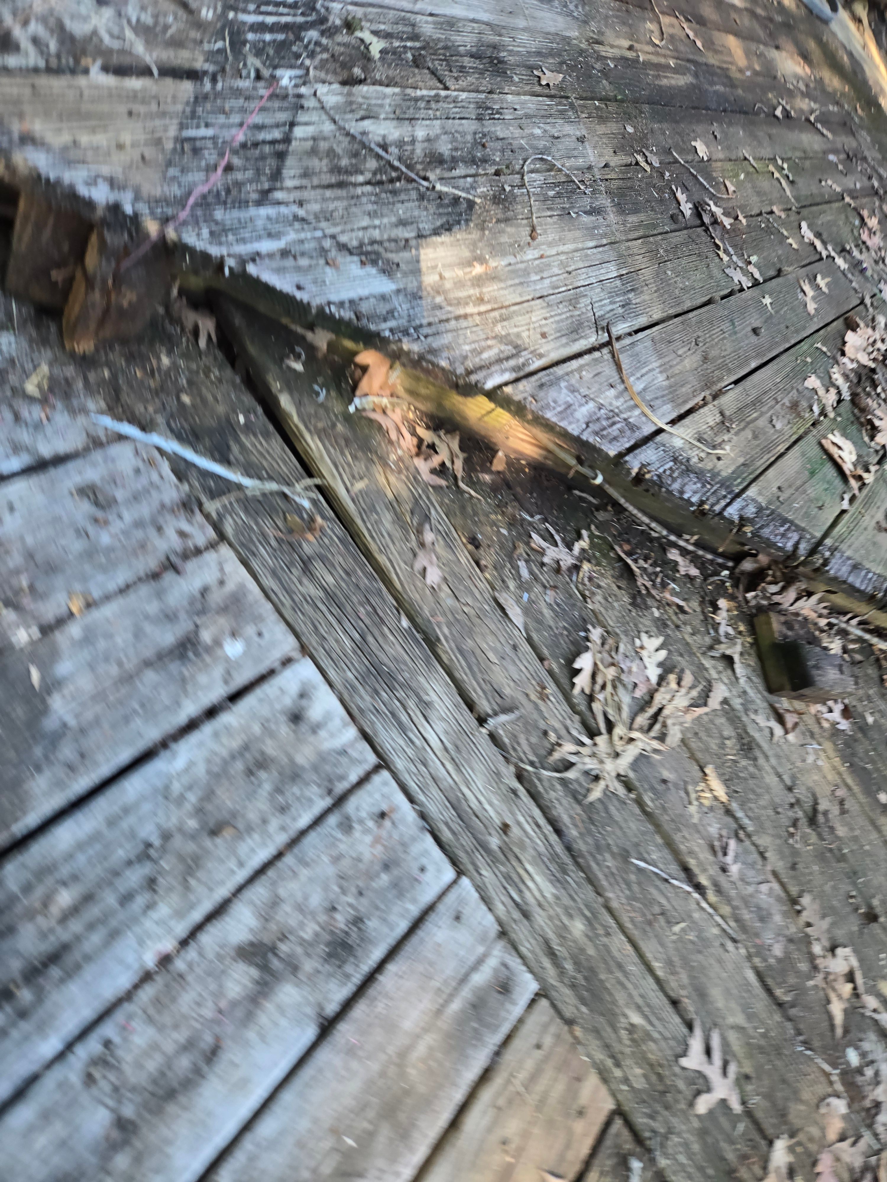  for Squeaky Clean Windows Gutters & More in Hoover, AL