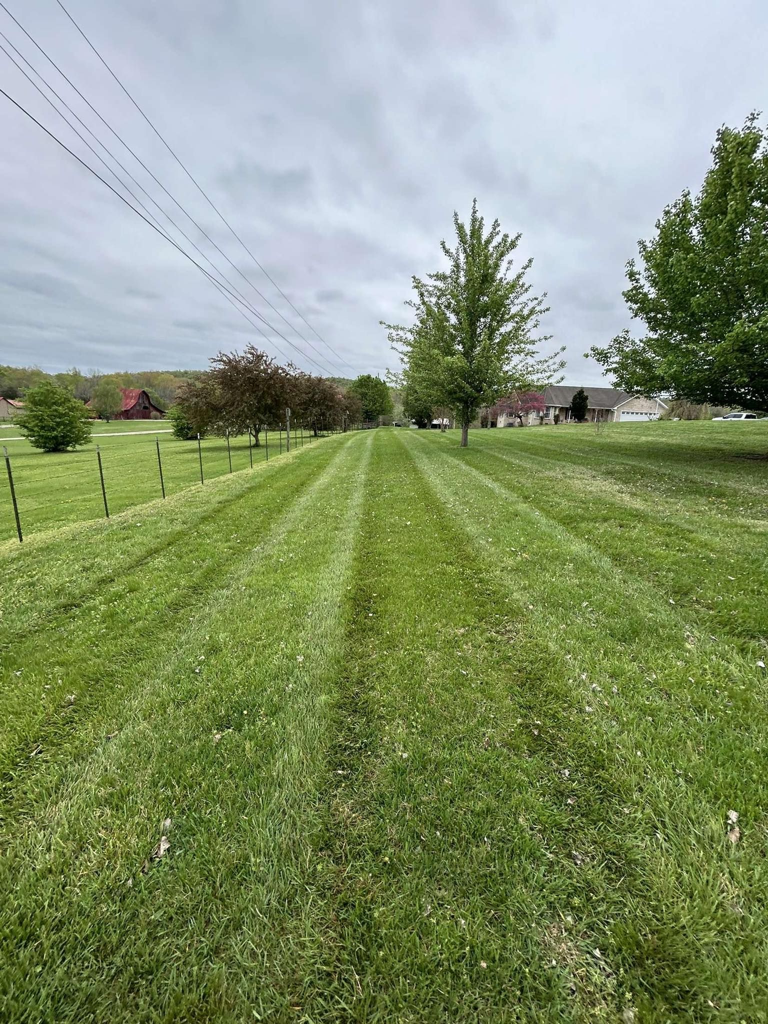  for East Premier Lawn Care in Kingston, TN