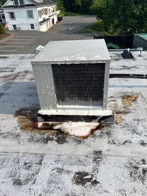 All Photos for Park Place Property Maintenance in Essex County, NJ
