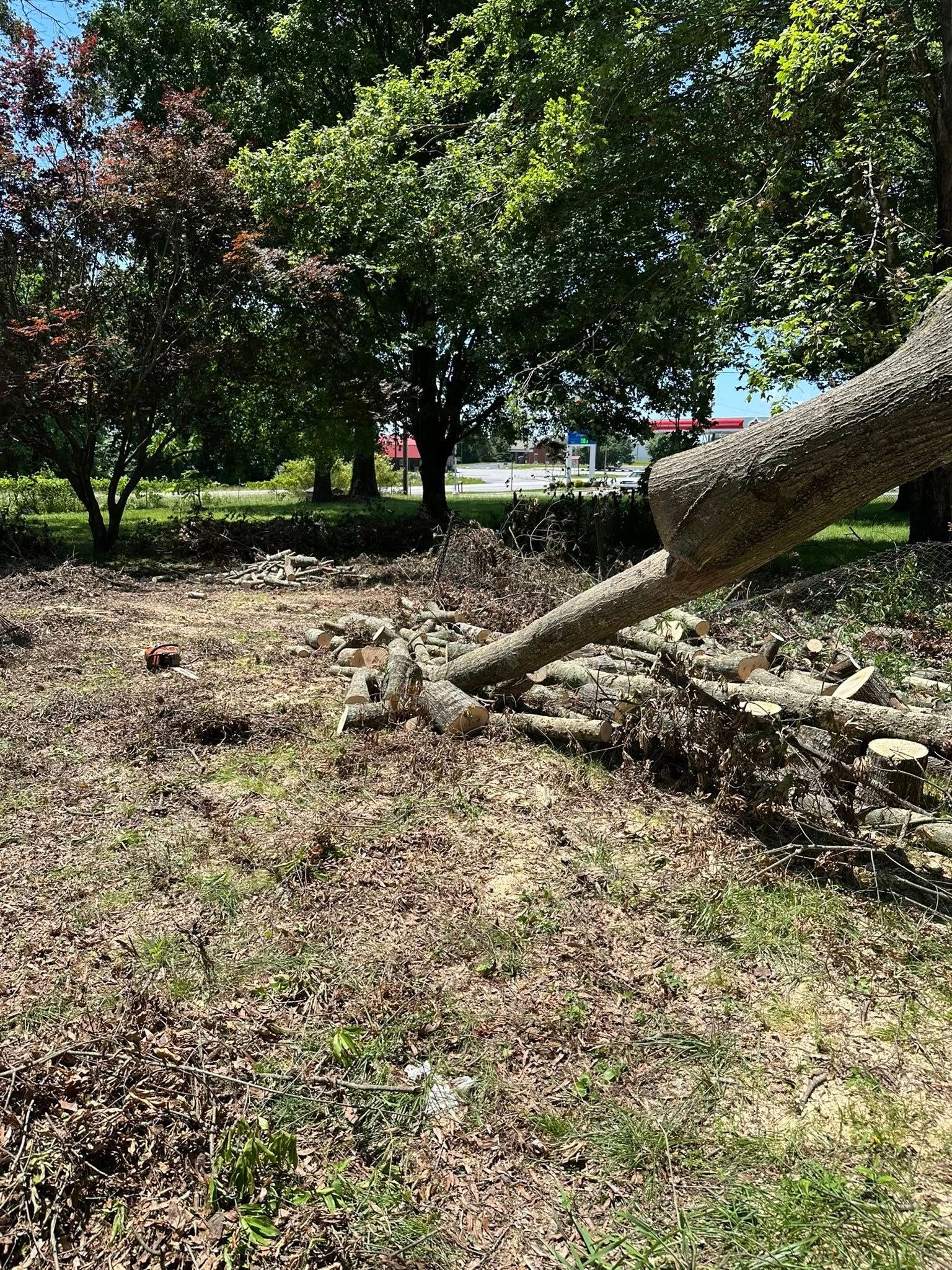  for Ramirez Tree Care in Elkin, NC