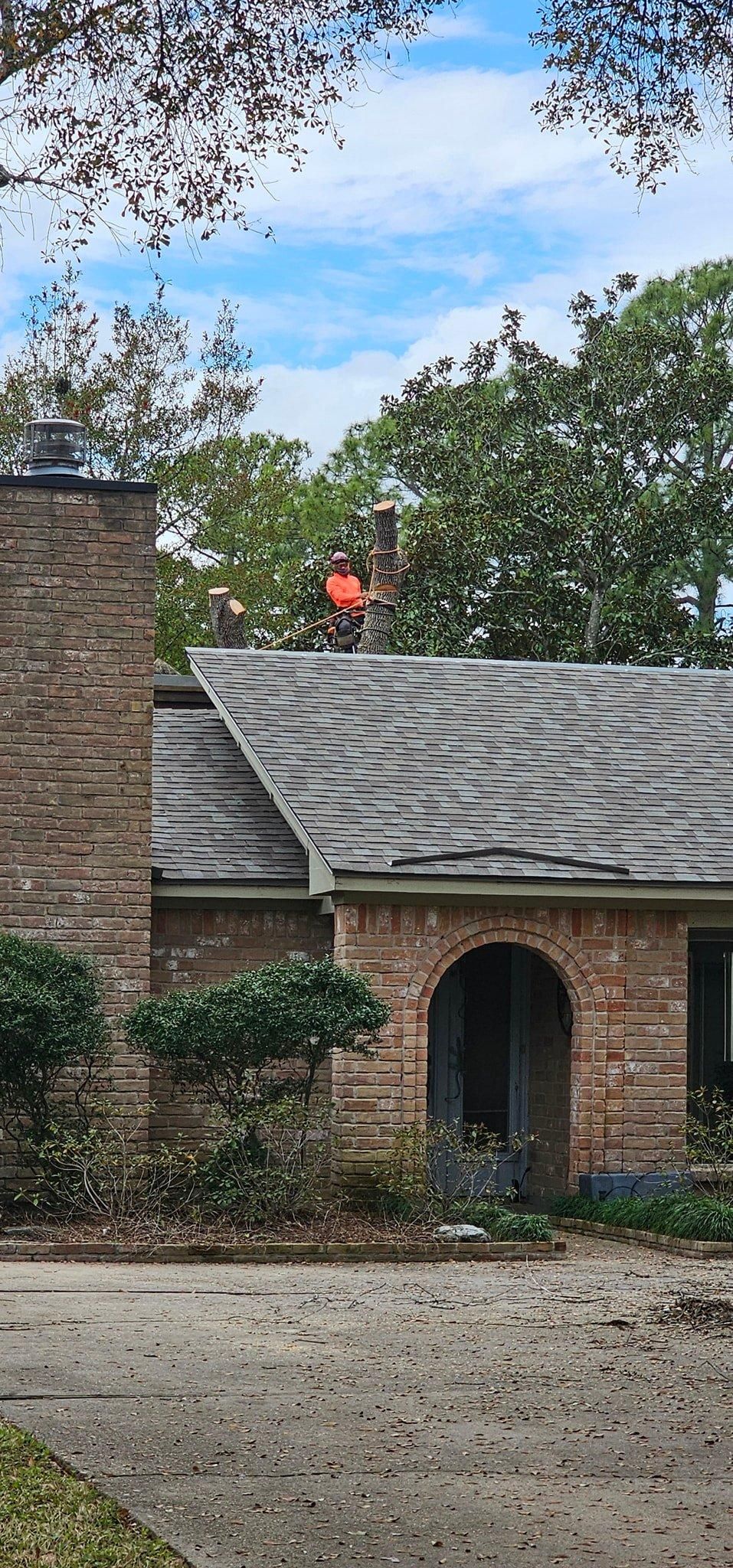  for Servin's Tree Care  in Houston, TX