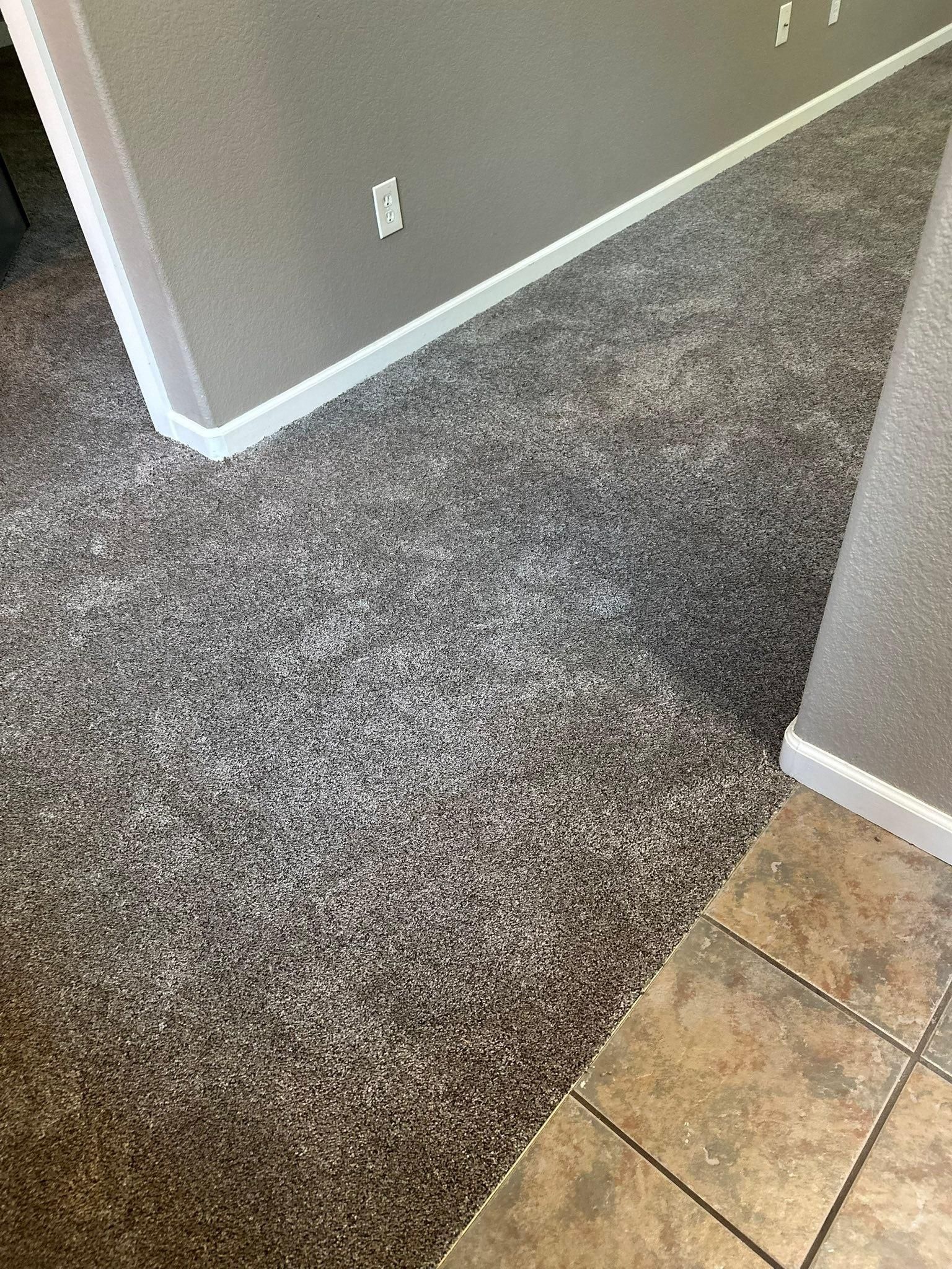  for Obed-Edom Construction in Broomfield County, CO