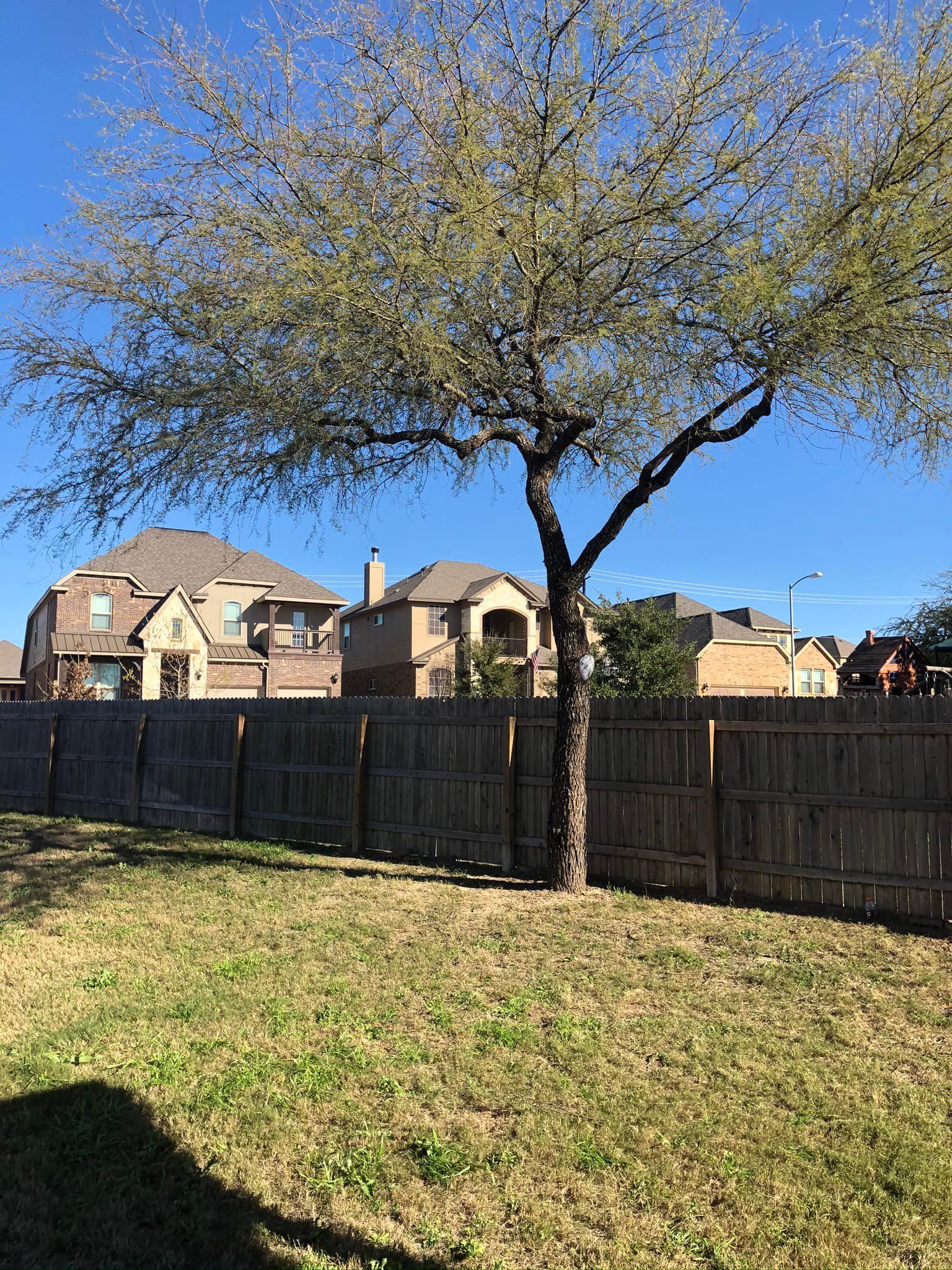  for Neighborhood Lawn Care and Tree Service  in San Antonio, TX