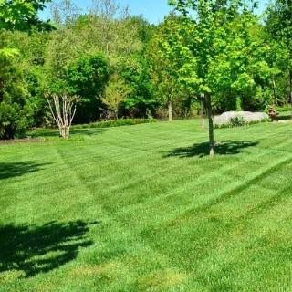 Mowing for Cowboys Lawn Care & Pressure/Soft Washing in Carrollton, Georgia