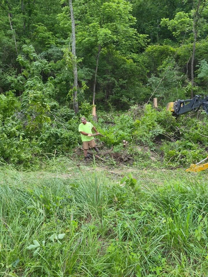  for Carpenter's Tree Service in Aurora, IN