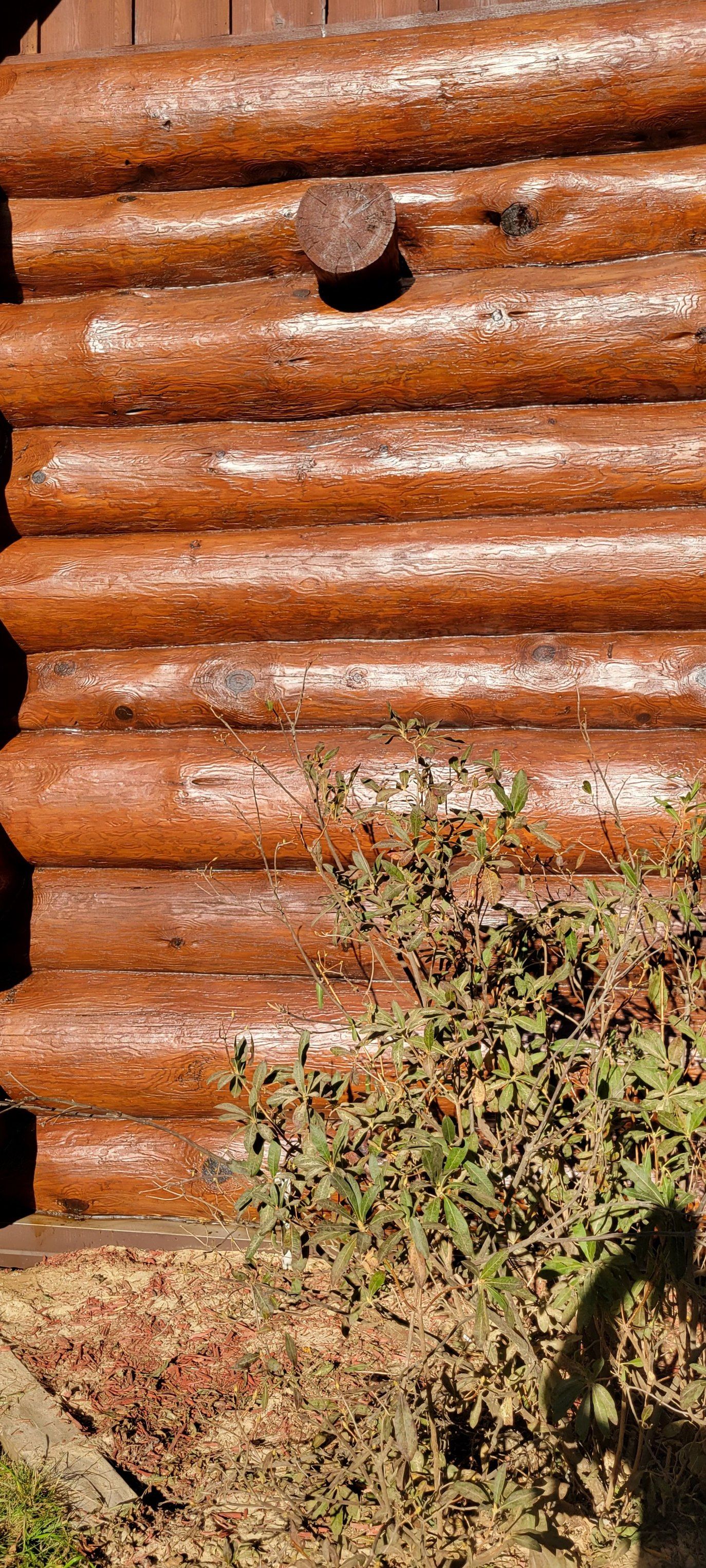 All Photos for 218 Painting & Log Restoration LLC in Britt, MN