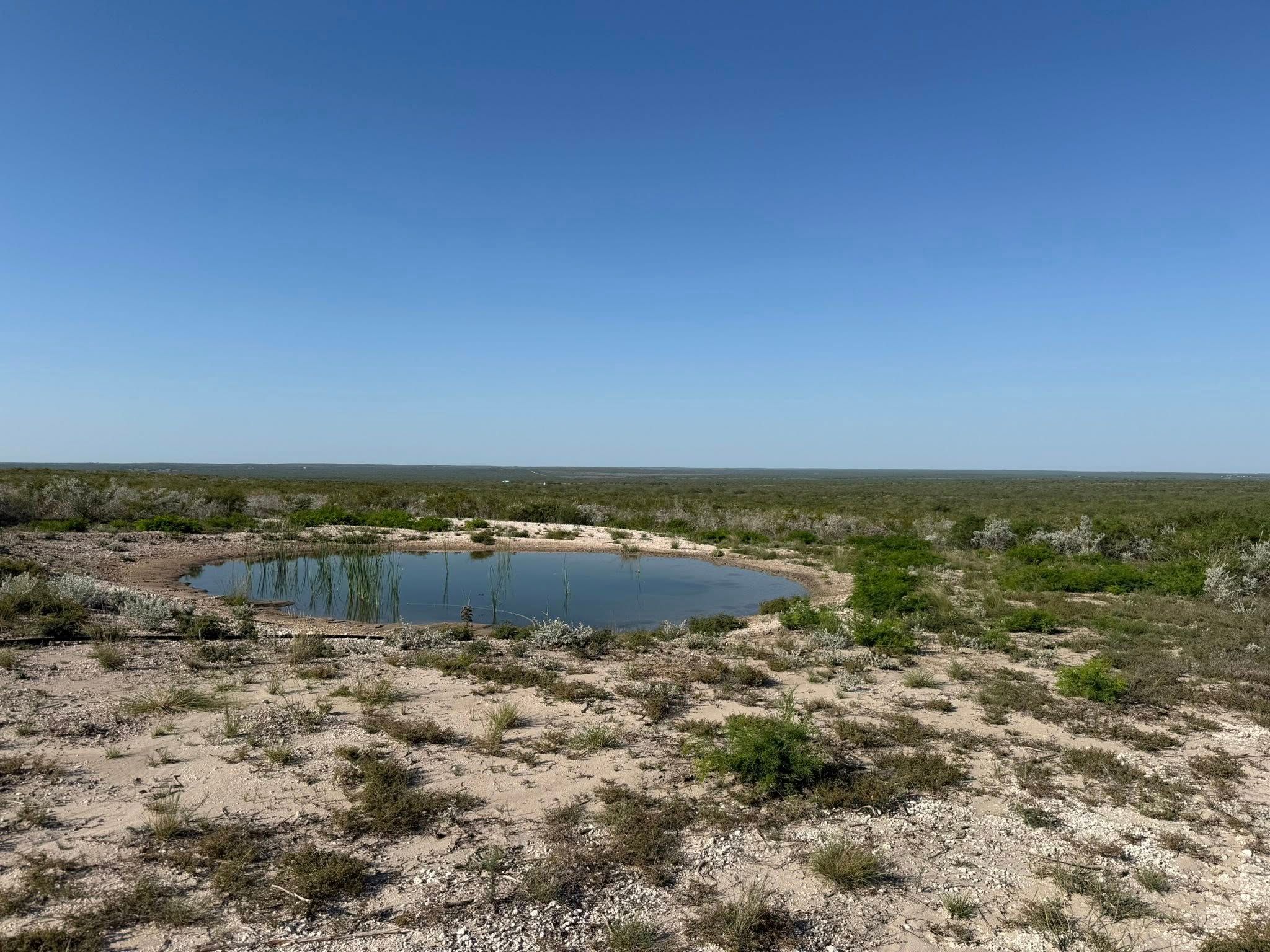  for Strause Land Improvement & Construction in George West, TX