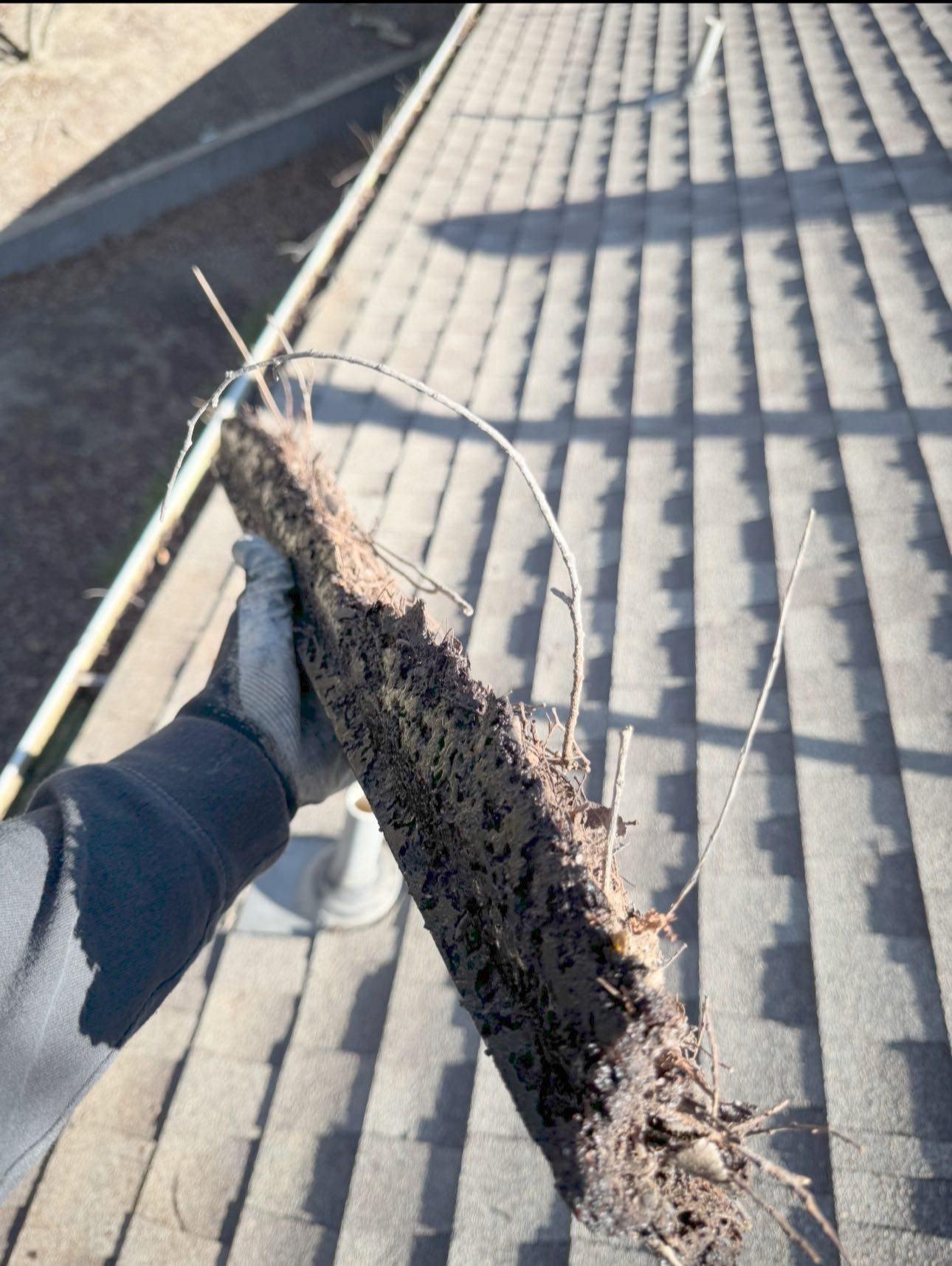  for Pro Grade Services in Rockwall, TX