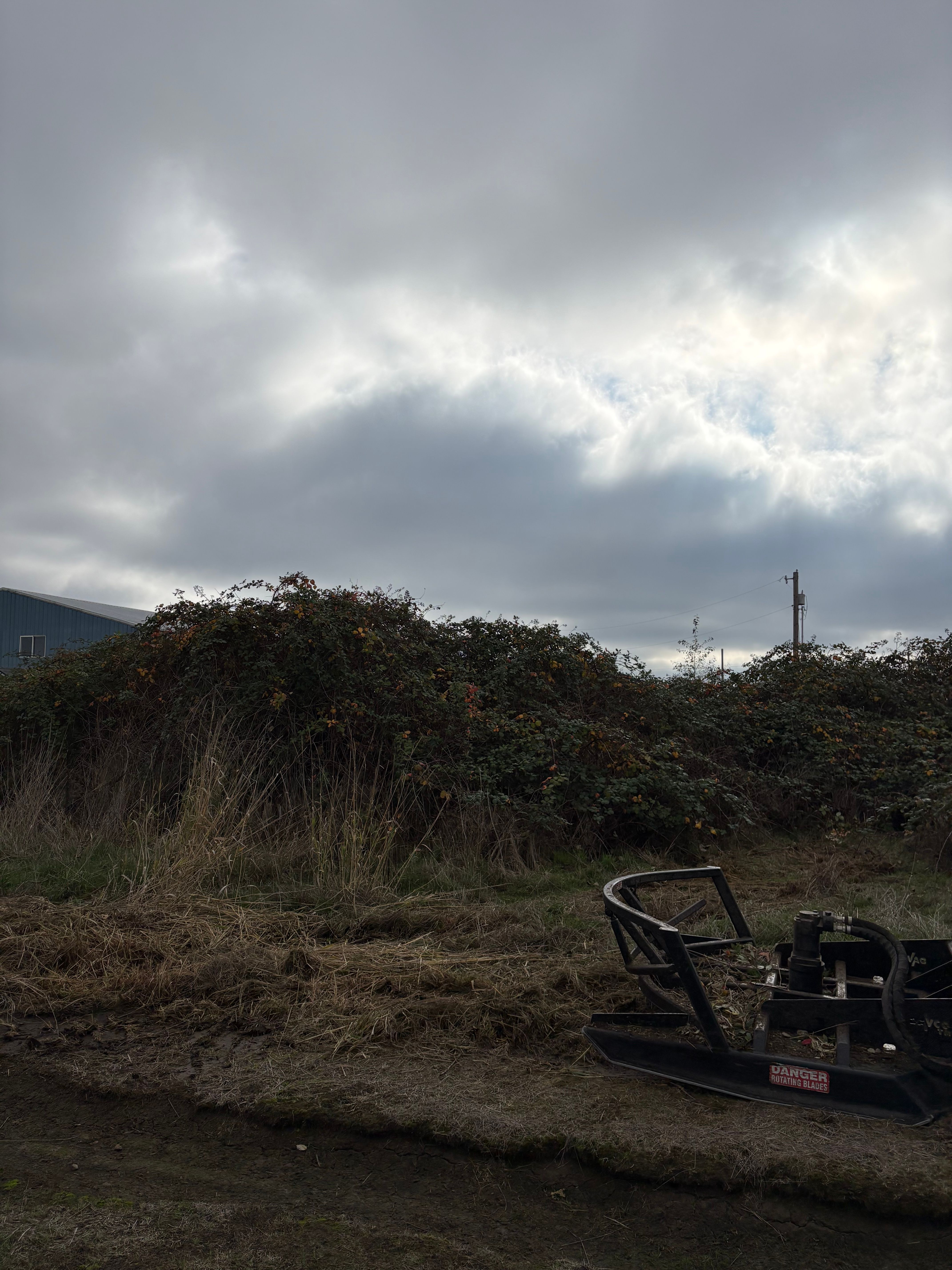  for Limitless Excavation & Land Clearing in Eugene, OR