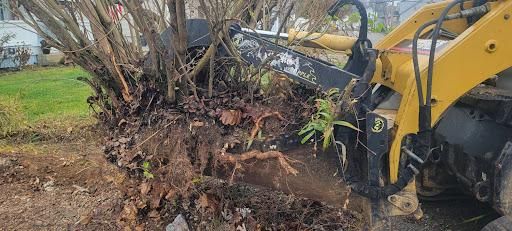  for Admiring Landscapes in Lancaster, OH