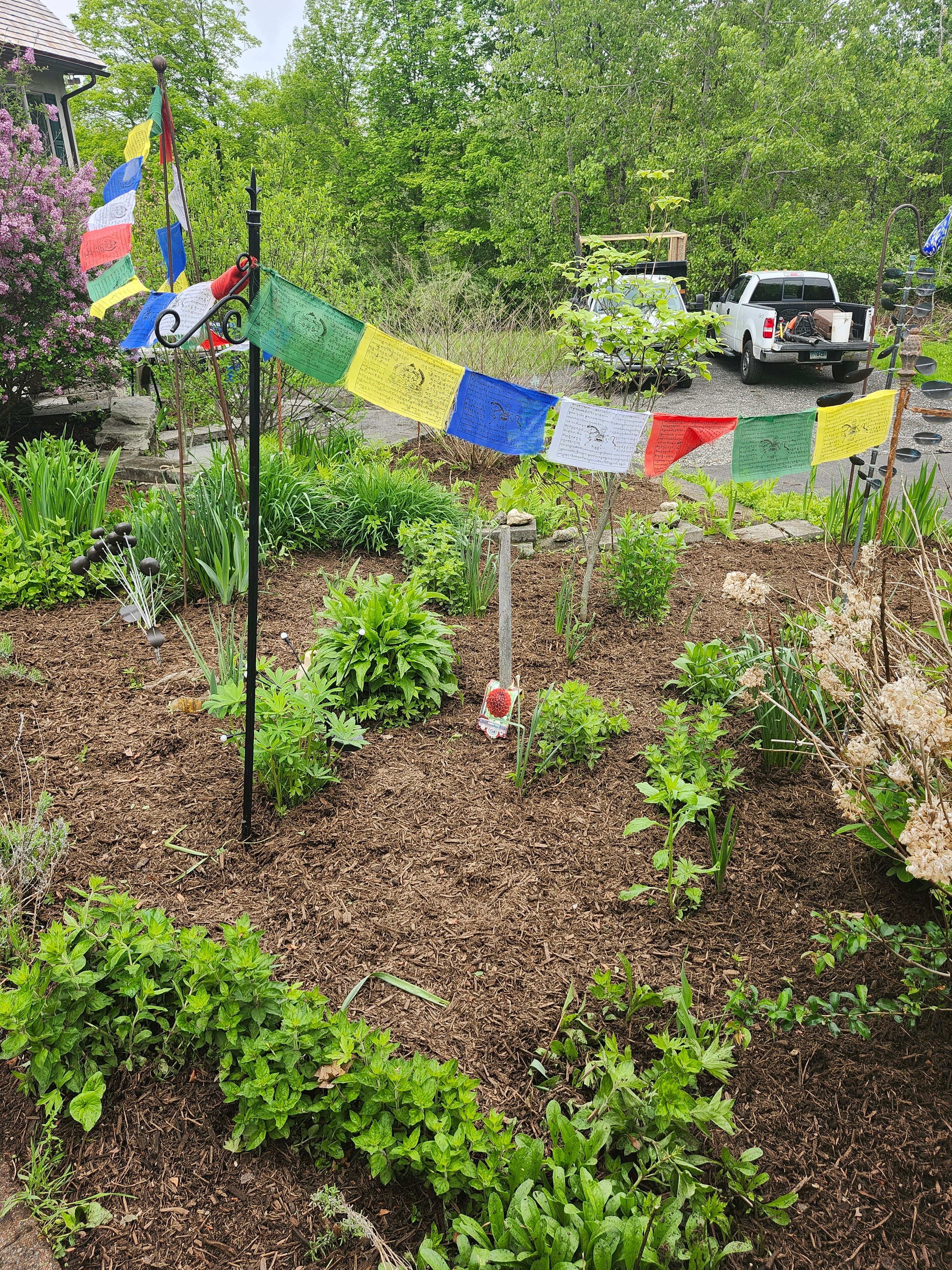 Muclhing & Weeding for Landscape Innovations LLC in Torrington, CT