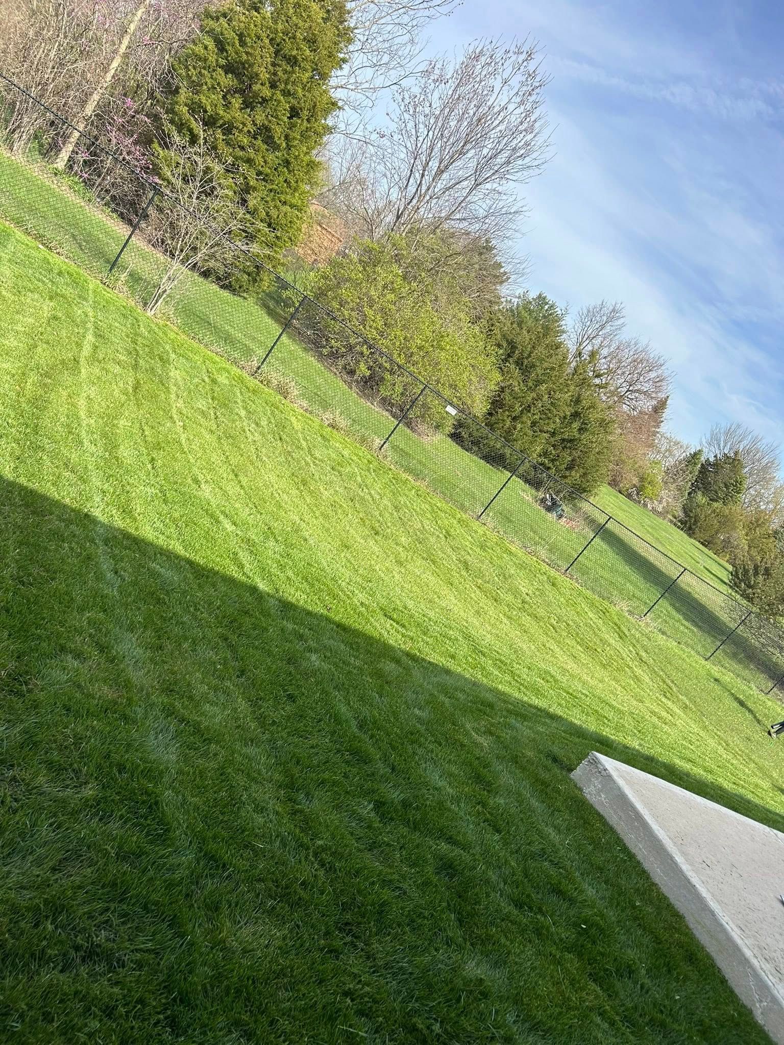  for Plenty Landscaping Solutions in Indianapolis, IN