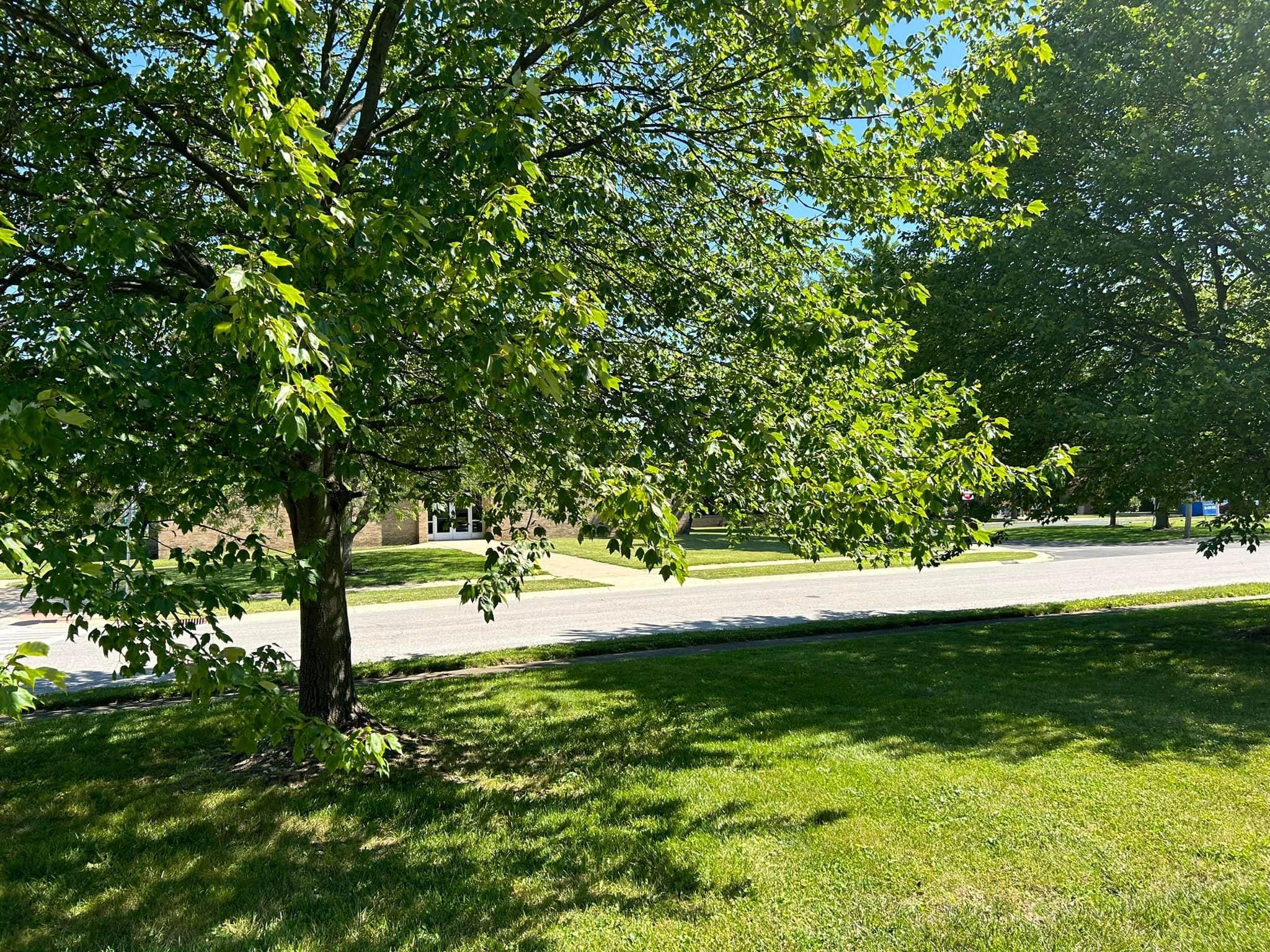  for Bearforce Lawn Care LLC in Greenfield, IN