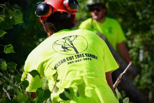  for Clean Cut Tree Service in Gillette, WY