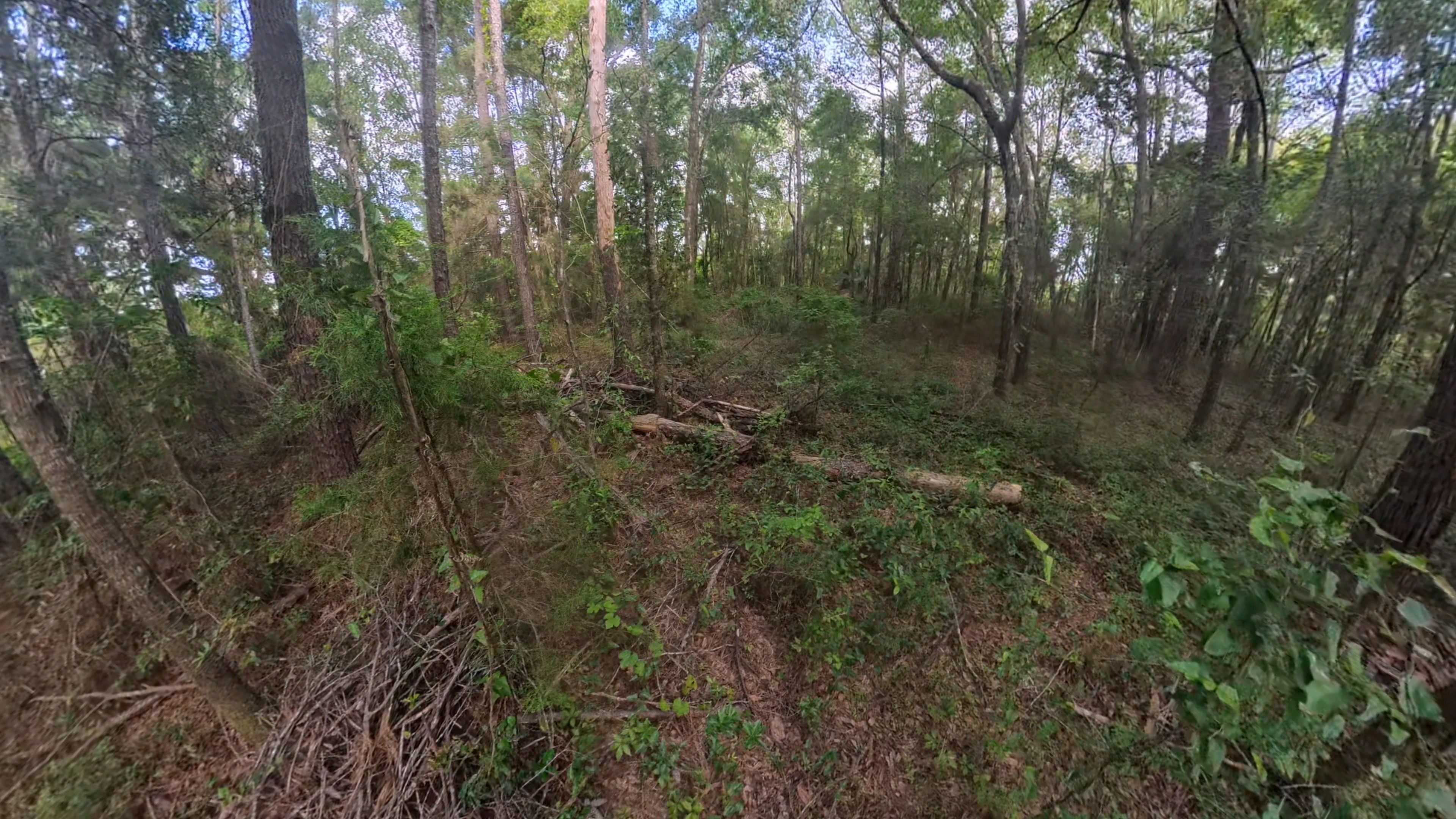  for Family Roots Landworks and Debris Removal in Newberry, FL