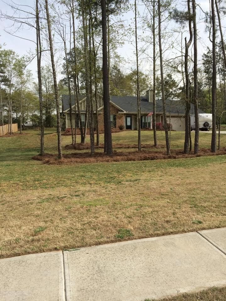 All Photos for Sexton Lawn Care in Jefferson, GA