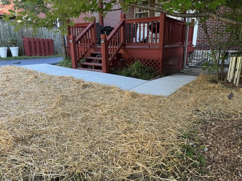 for J & B Landscaping in St. Louis, MO