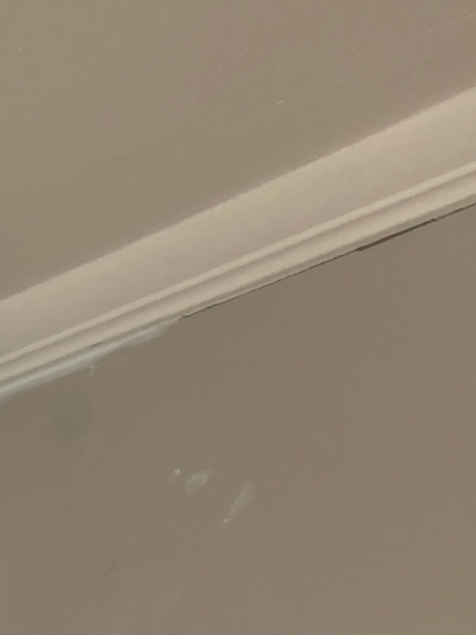  for Tony's Remodeling & Painting in Renton, WA