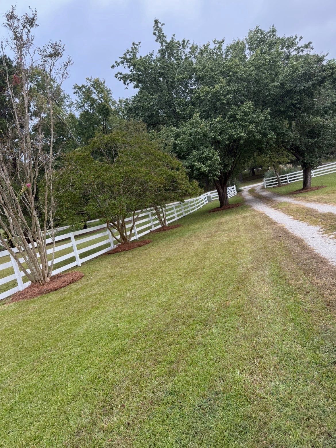  for Tri-P Services in Athens, GA