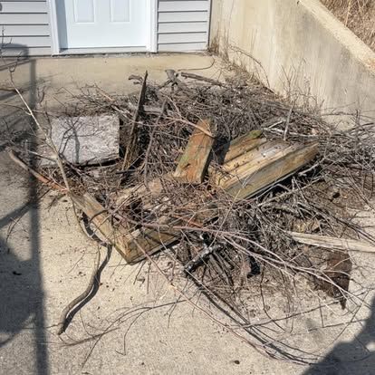  for Quick Removal Solutions in Grand Ledge, MI