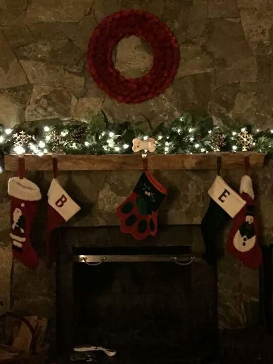  for Evolution Earthscapes, LLC in Ludlow, MA