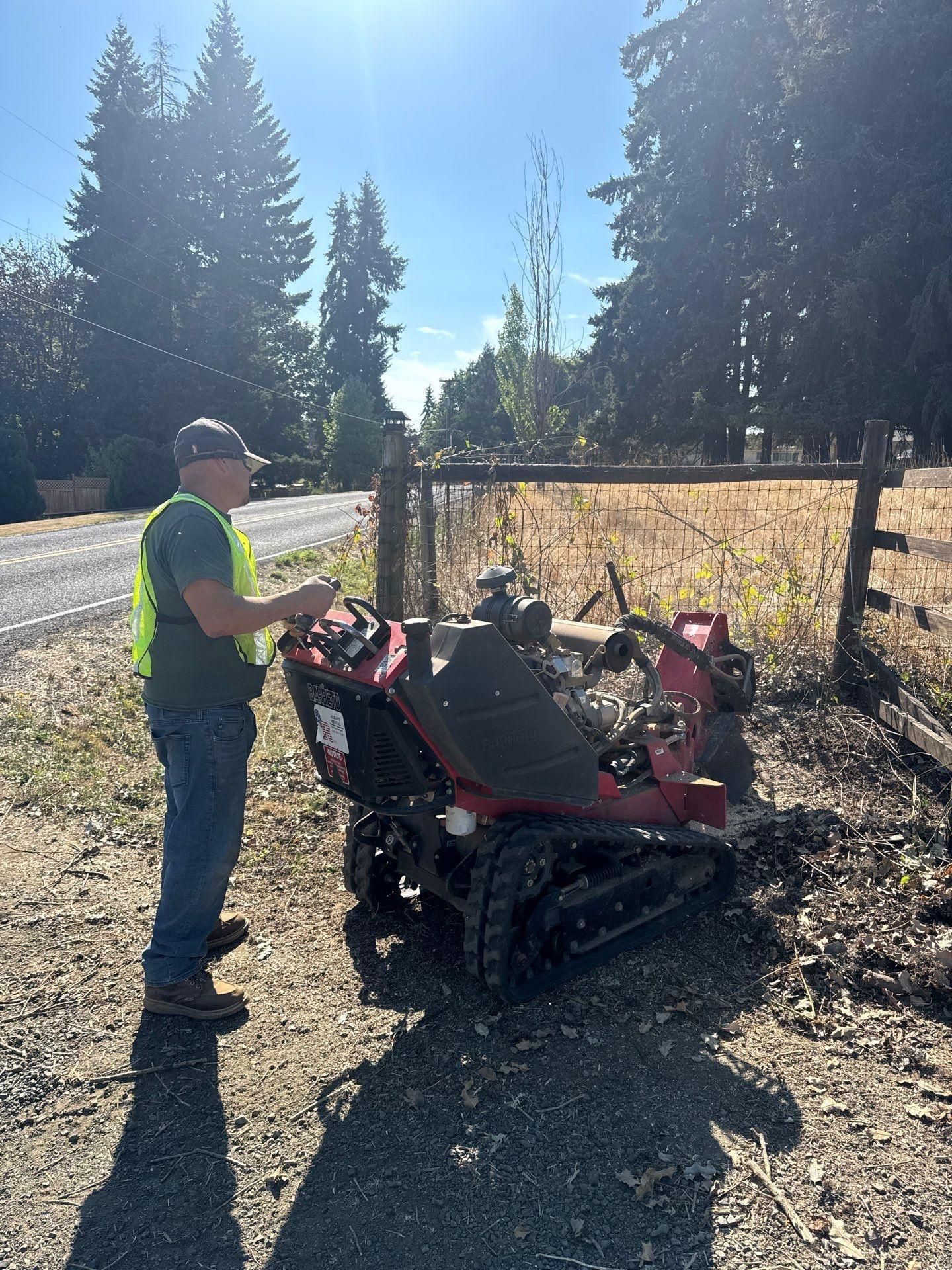  for Willamette Landscaping and Tree Services in Albany, OR