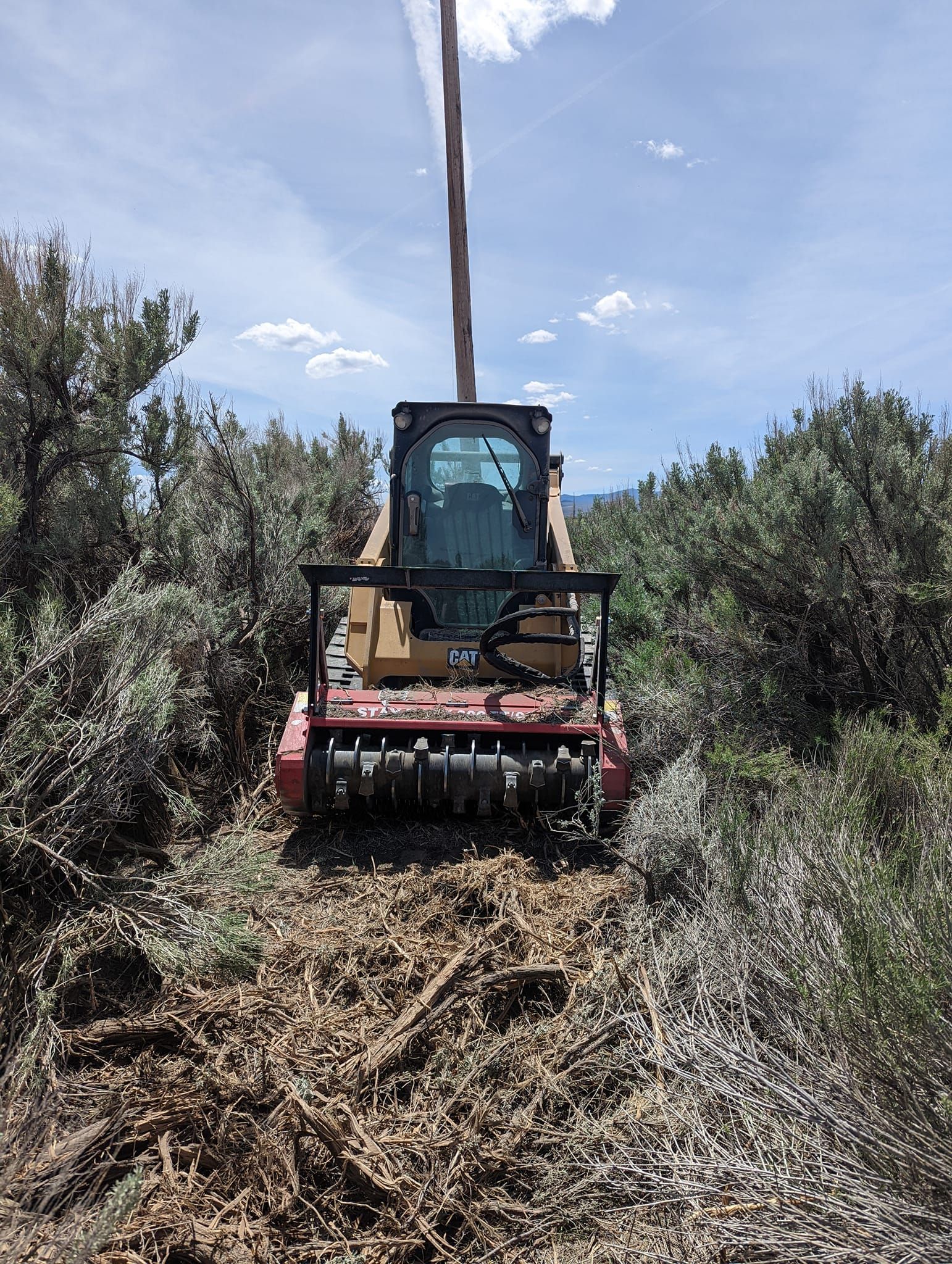 All Photos for Bailey's Cutting LLC in Bend, Oregon