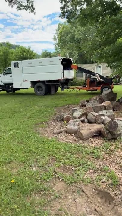  for Skys The Limit Tree Management in Morehead, KY