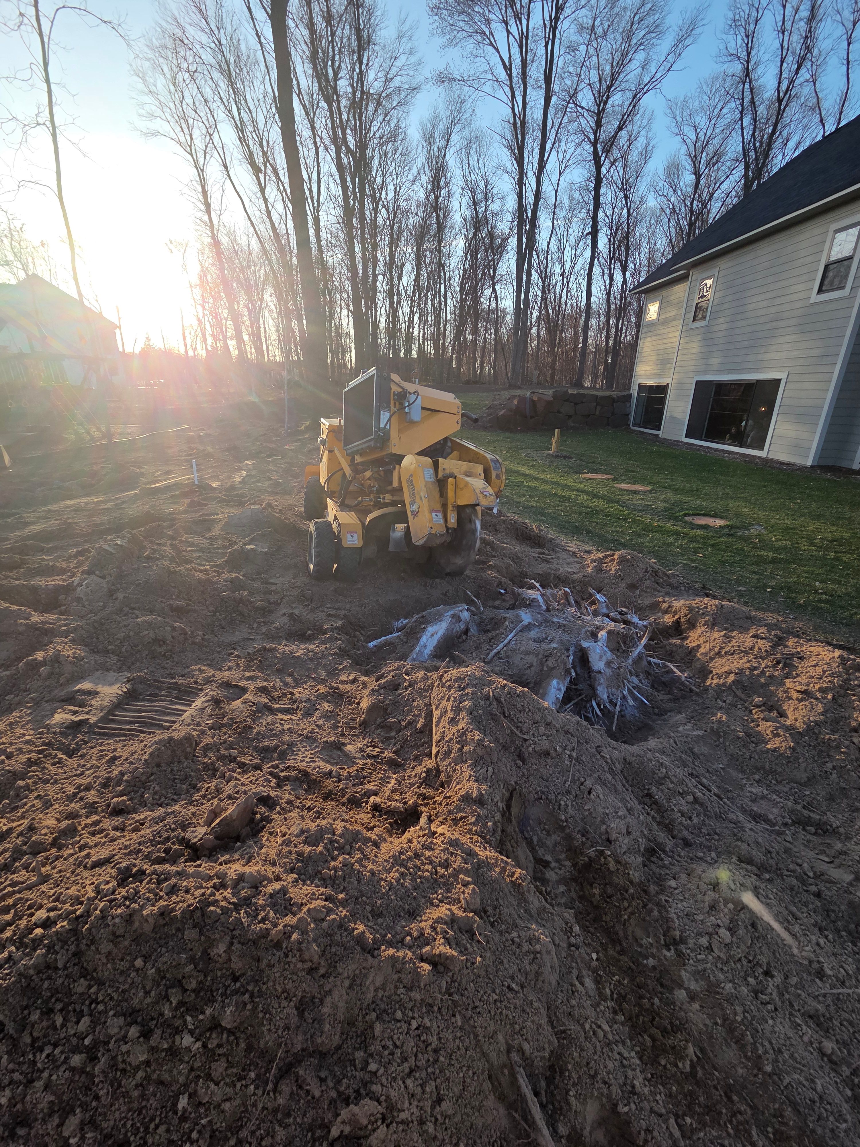  for American Outdoor Services & Stump Grinding in Maple Grove, MN