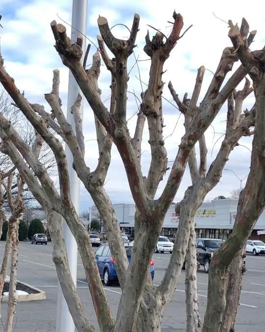  for Romero's Irrigation & Landscaping LLC in Fort Worth, TX