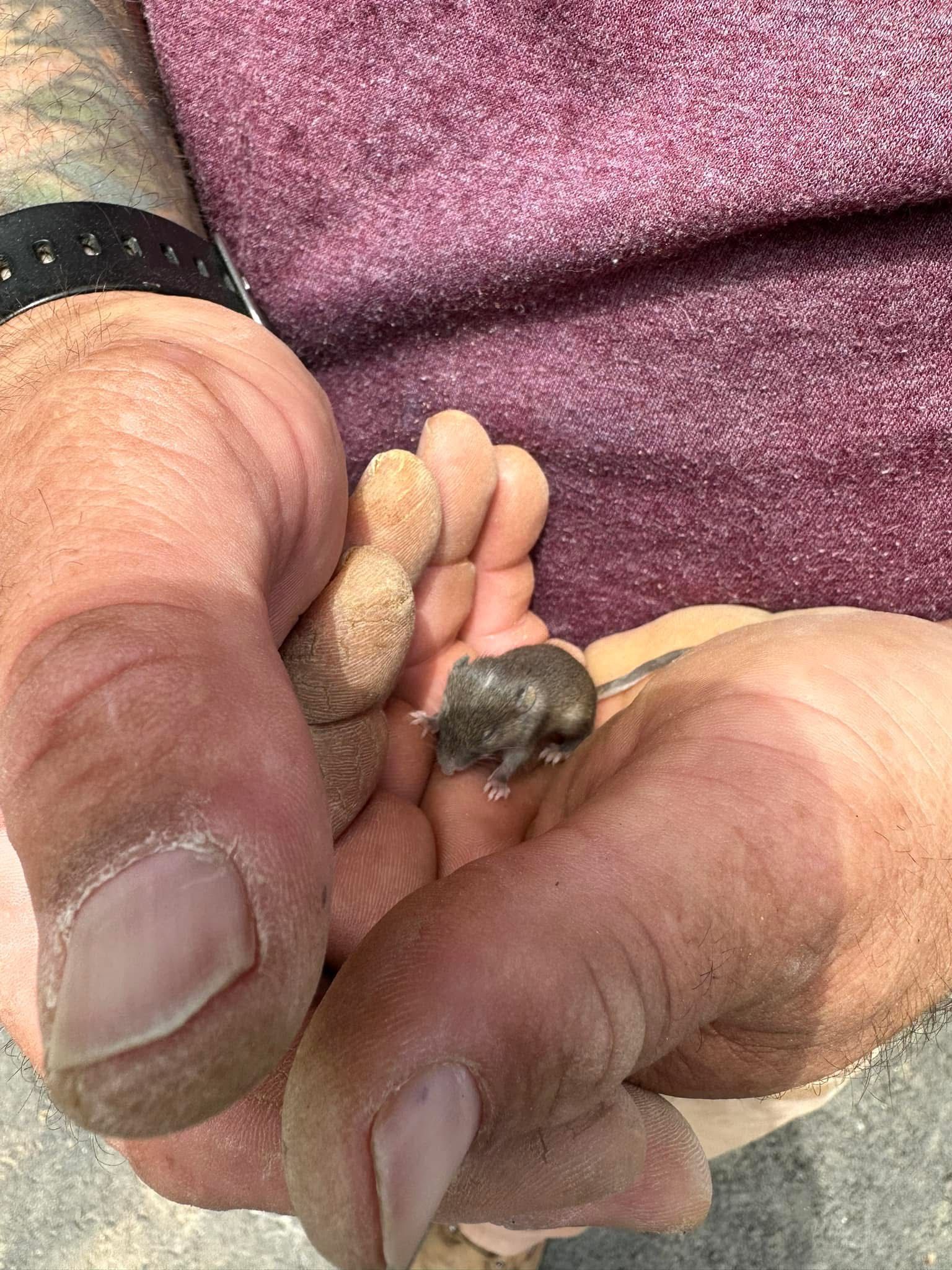  for Biddle's Services LLC in Edgewater, MD