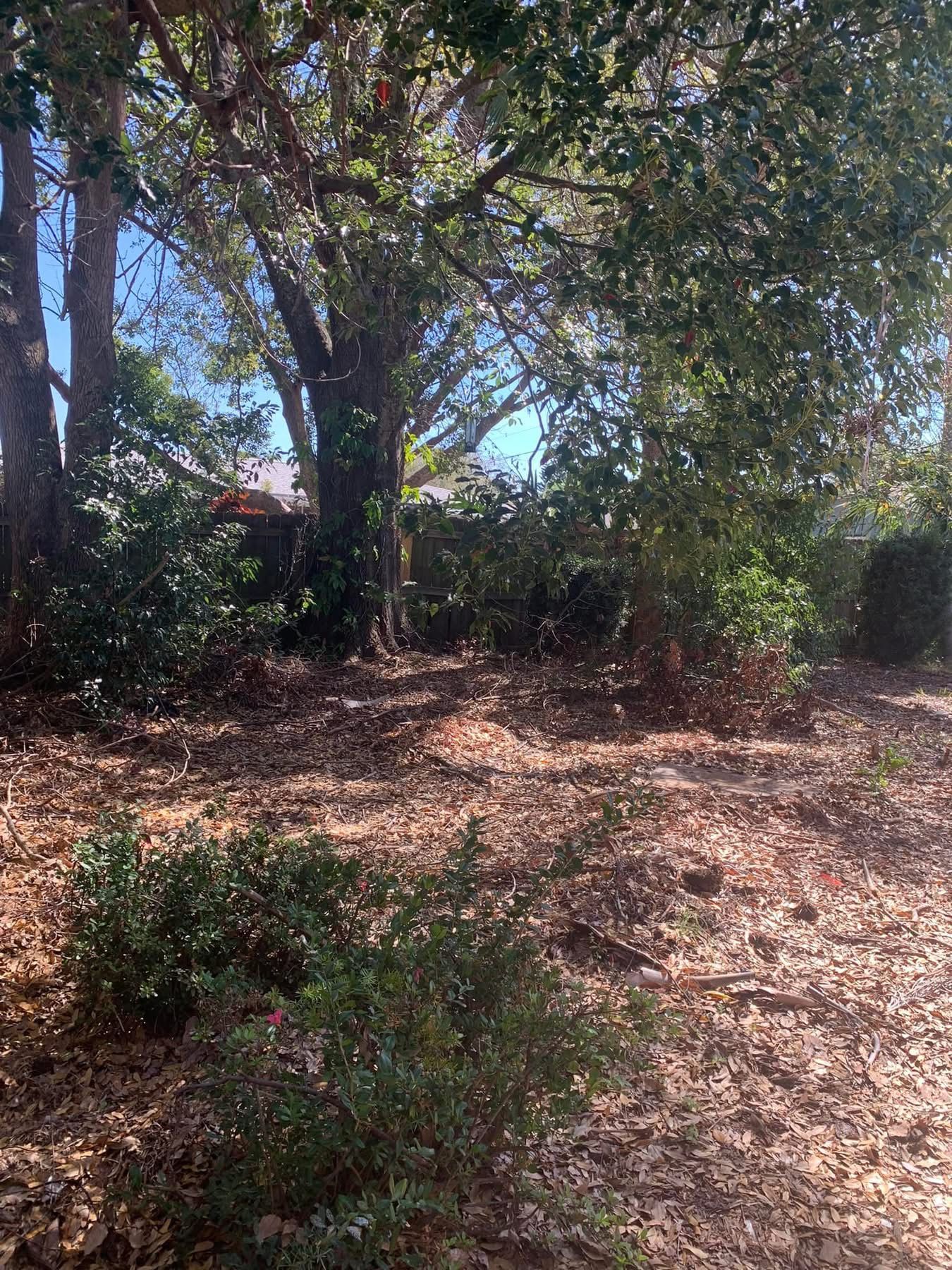  for Space Coast Property Maintenance and Management LLC in Melbourne, FL