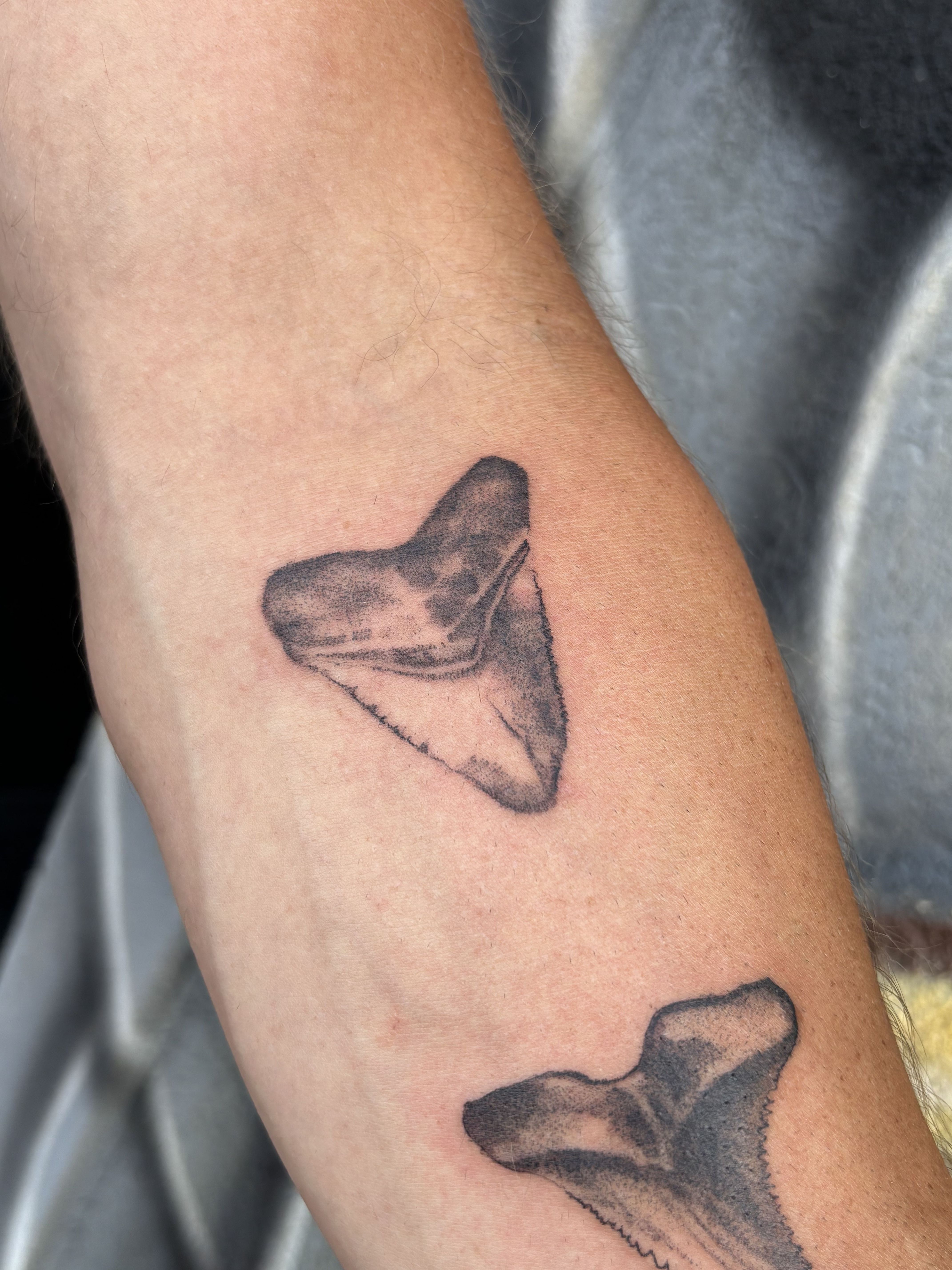  for Devil's Luck Tattoo Collective in Chicago, IL
