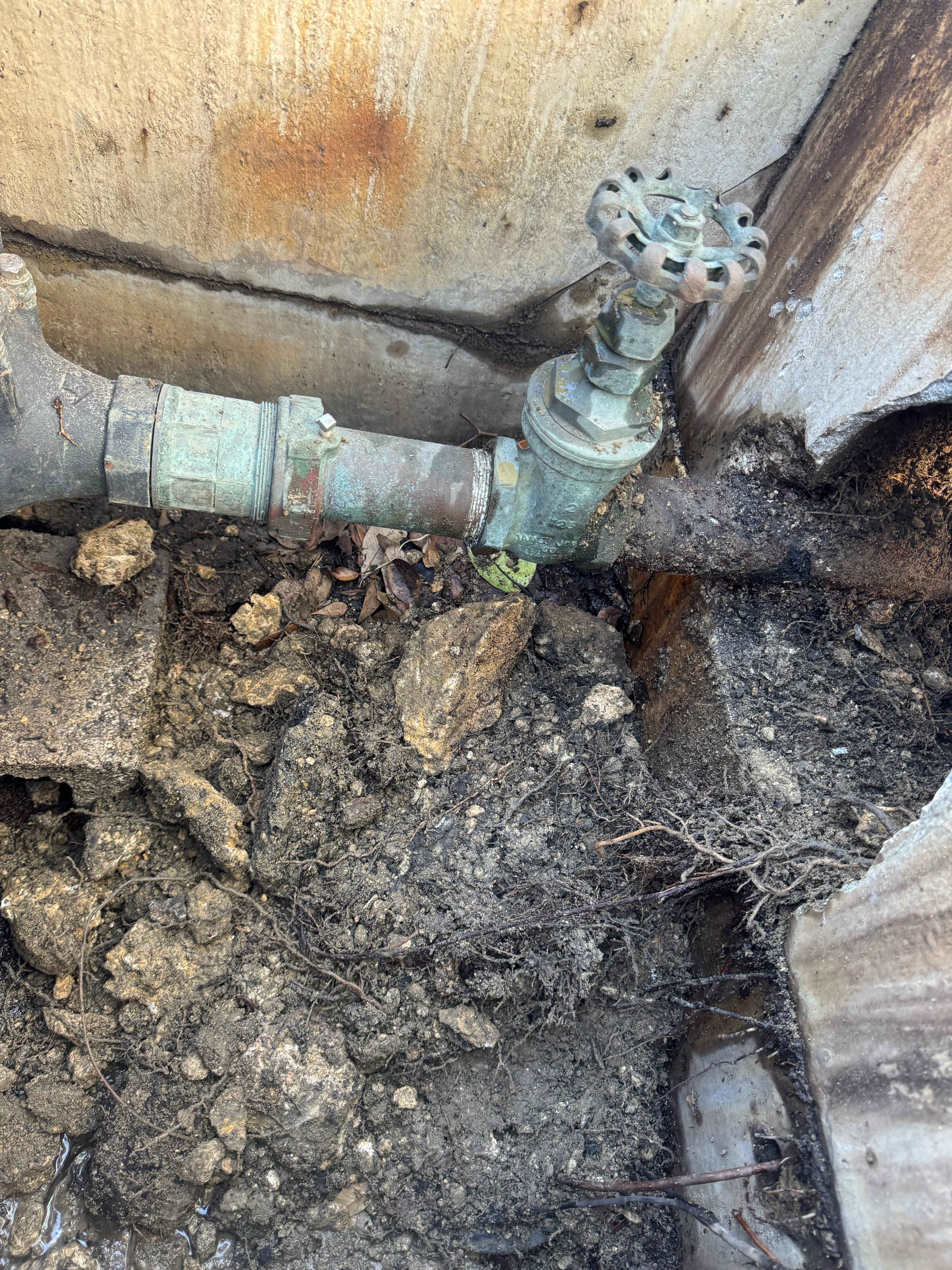  for Eco 1 Plumbing LLC in Miami, FL