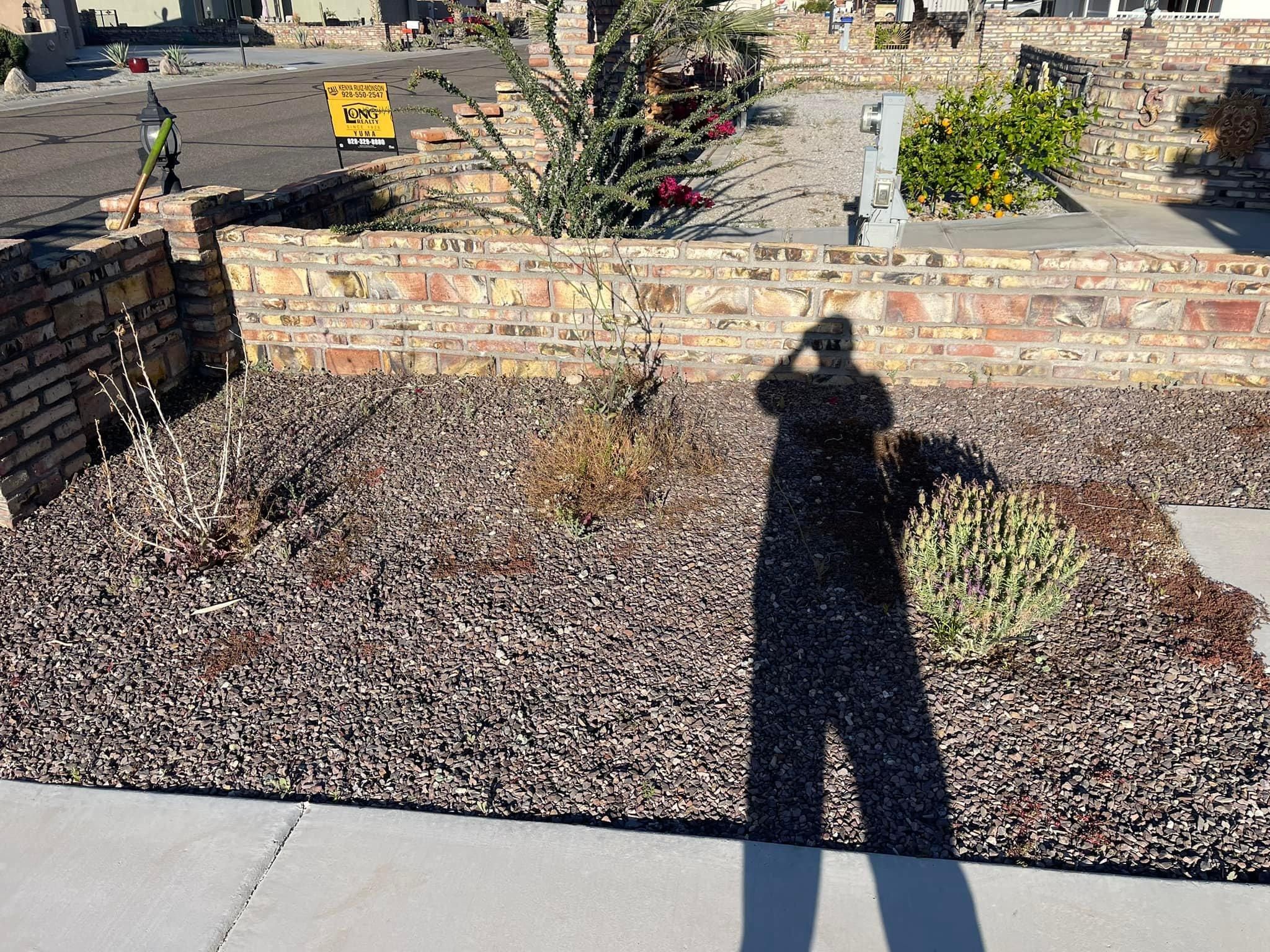  for Oliver L. Palm & Tree services in Yuma County, AZ