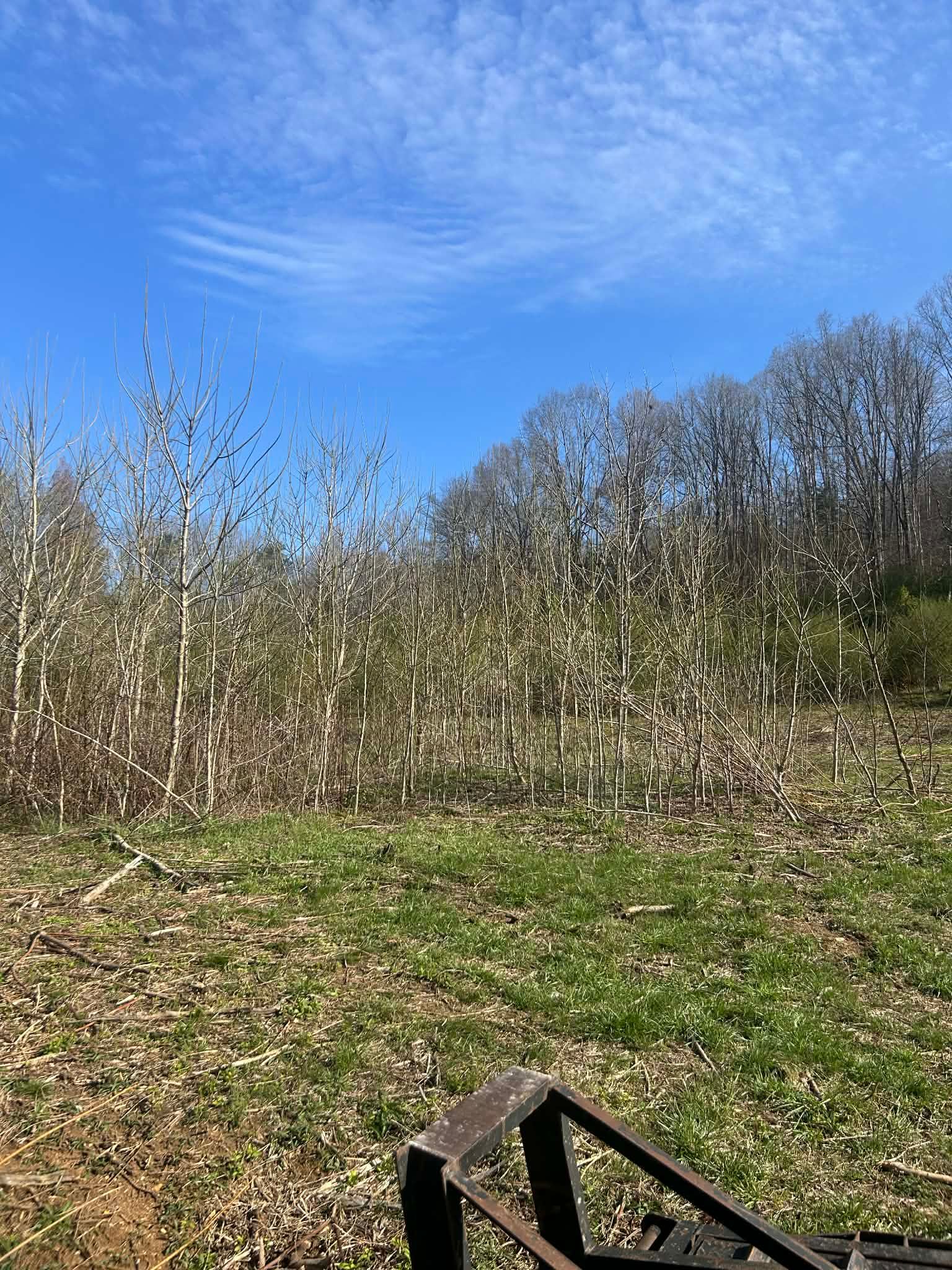  for Z's Land Management & Forestry Mulching in Smithville, TN